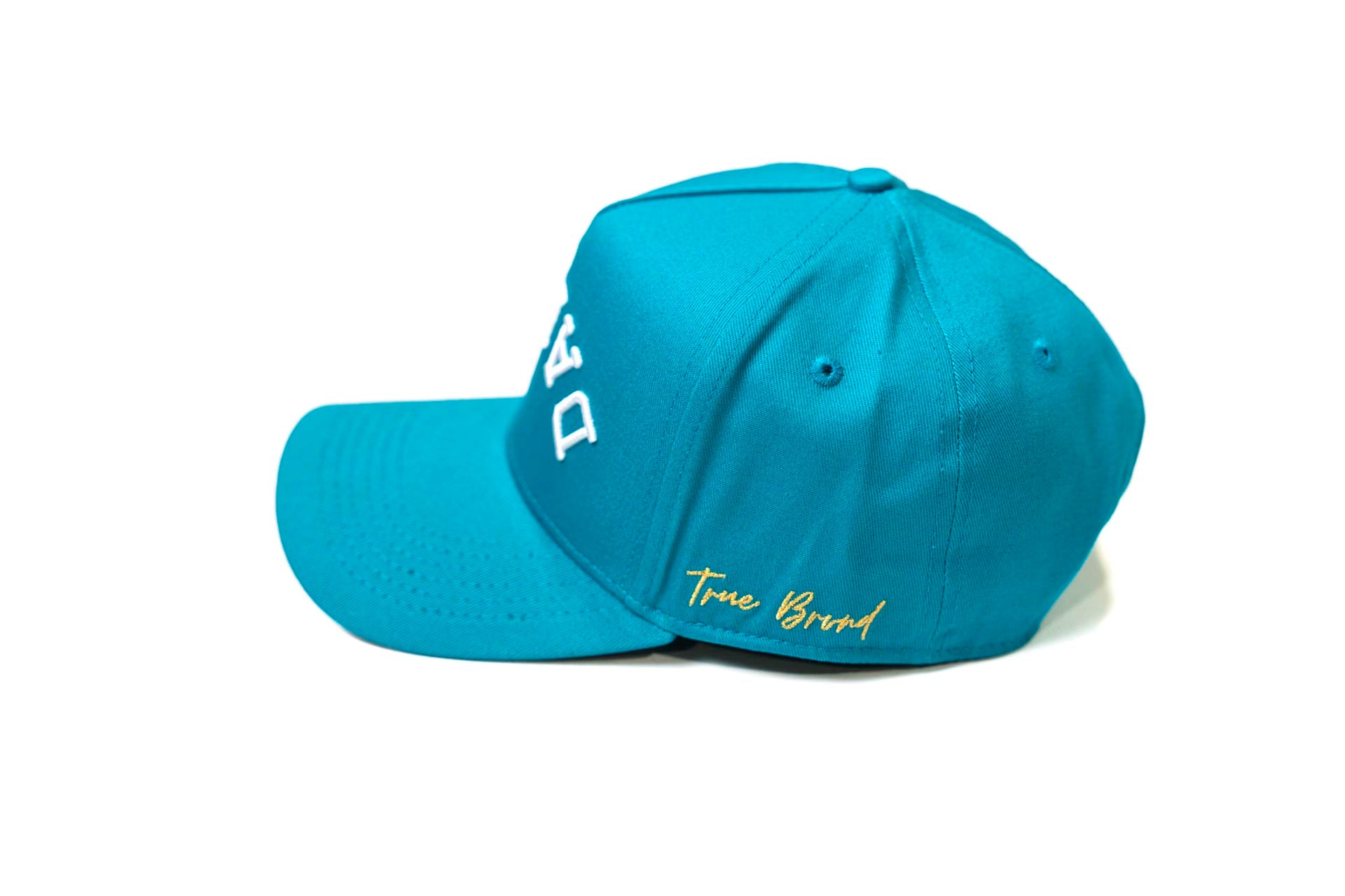 Precurved Dallas snapback - TEAL