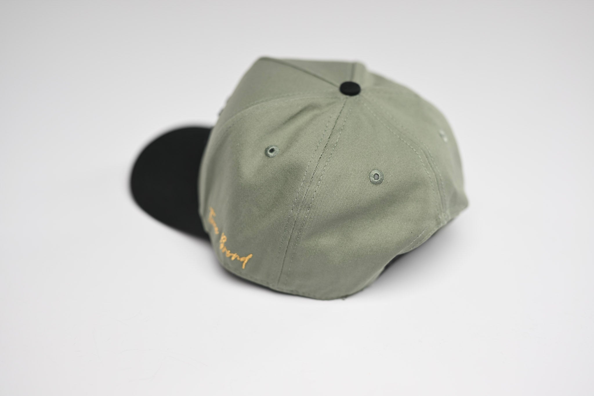 Precurved Dallas snapback - BLACK / SAGE