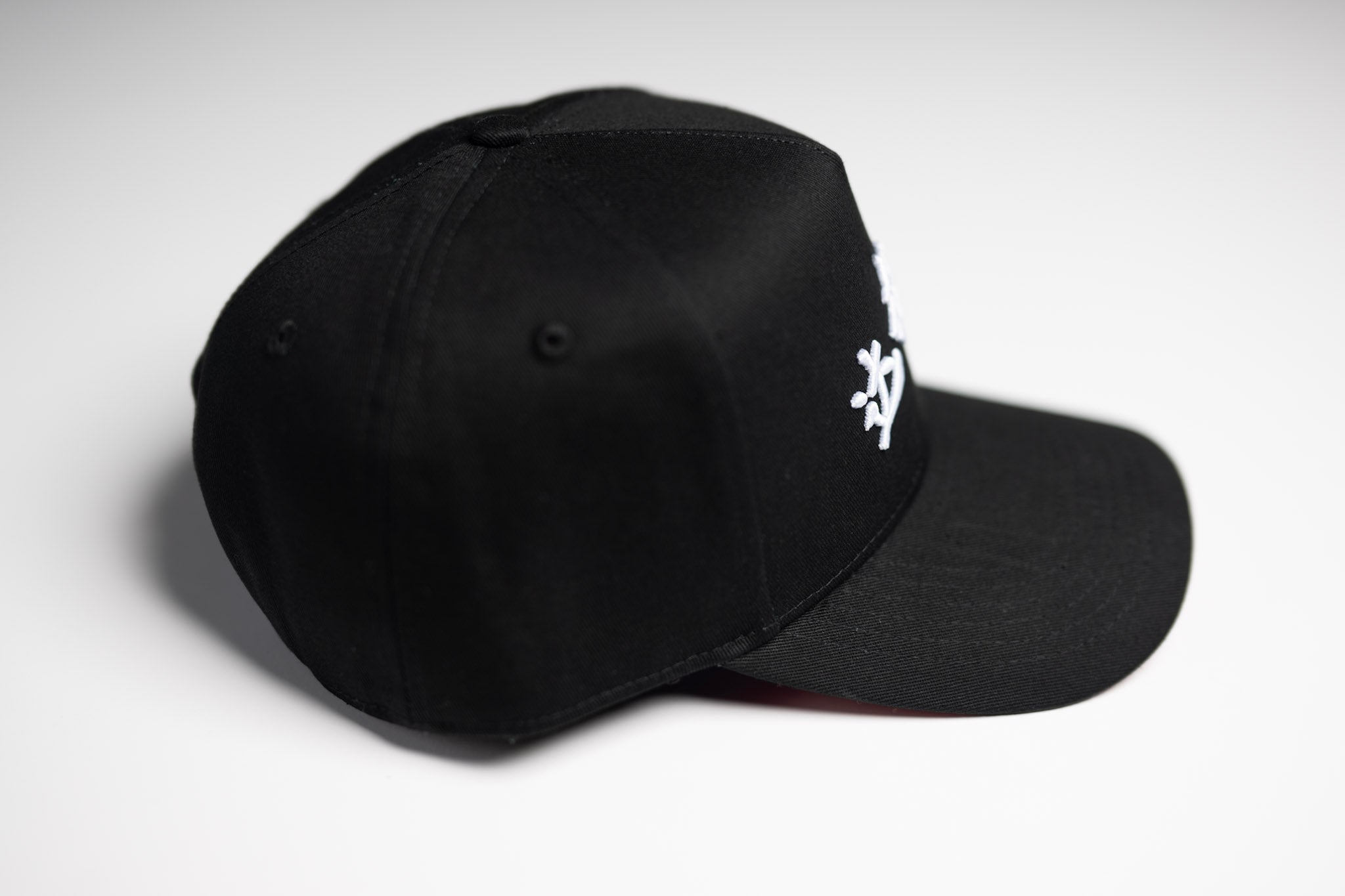 Year of the Dragon - BLACK