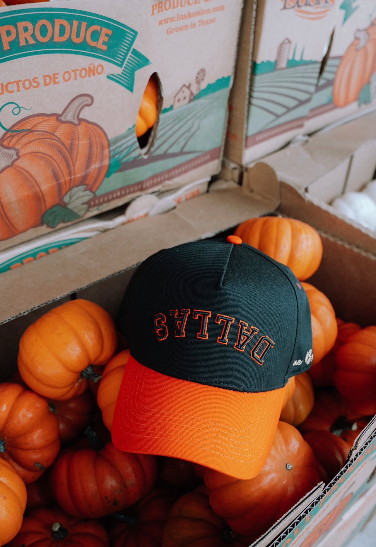 Precurved Dallas snapback - BLACK / ORANGE