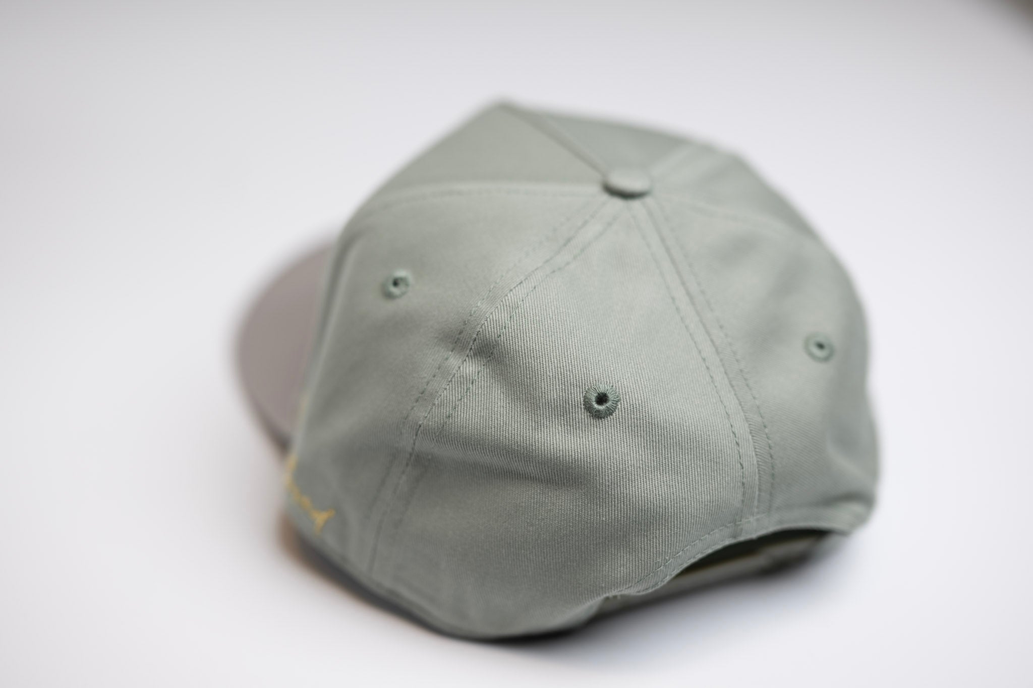 TRUE D HAT - GRAY / LITE SAGE