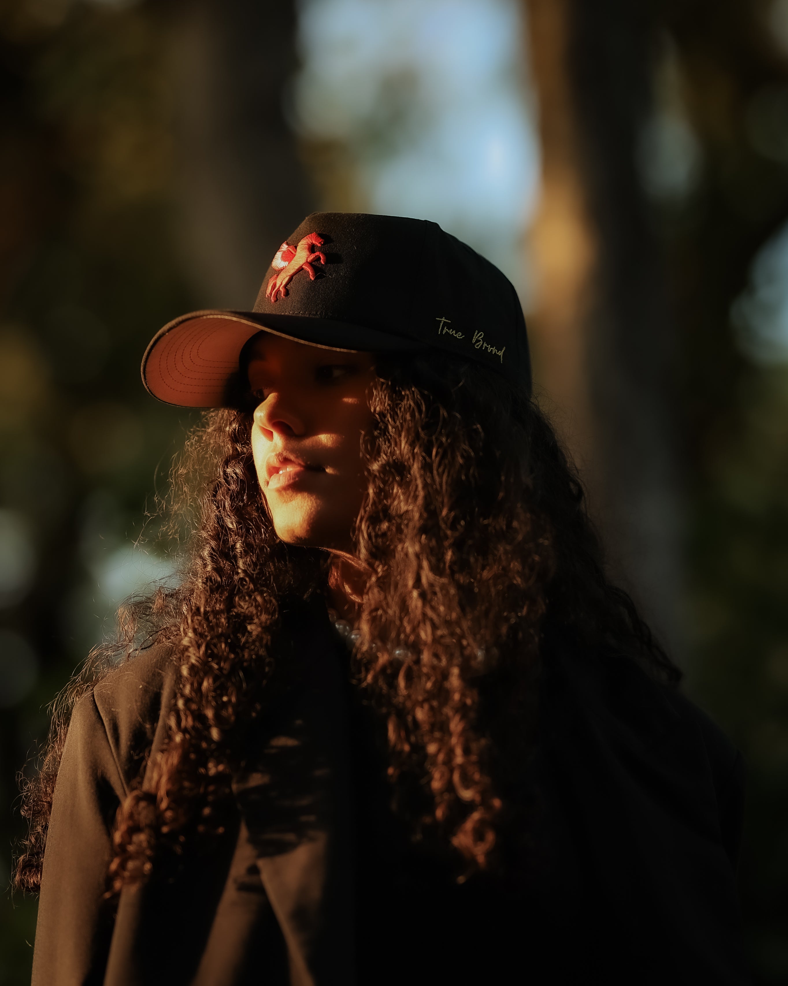 Pegasus snapback - BLACK