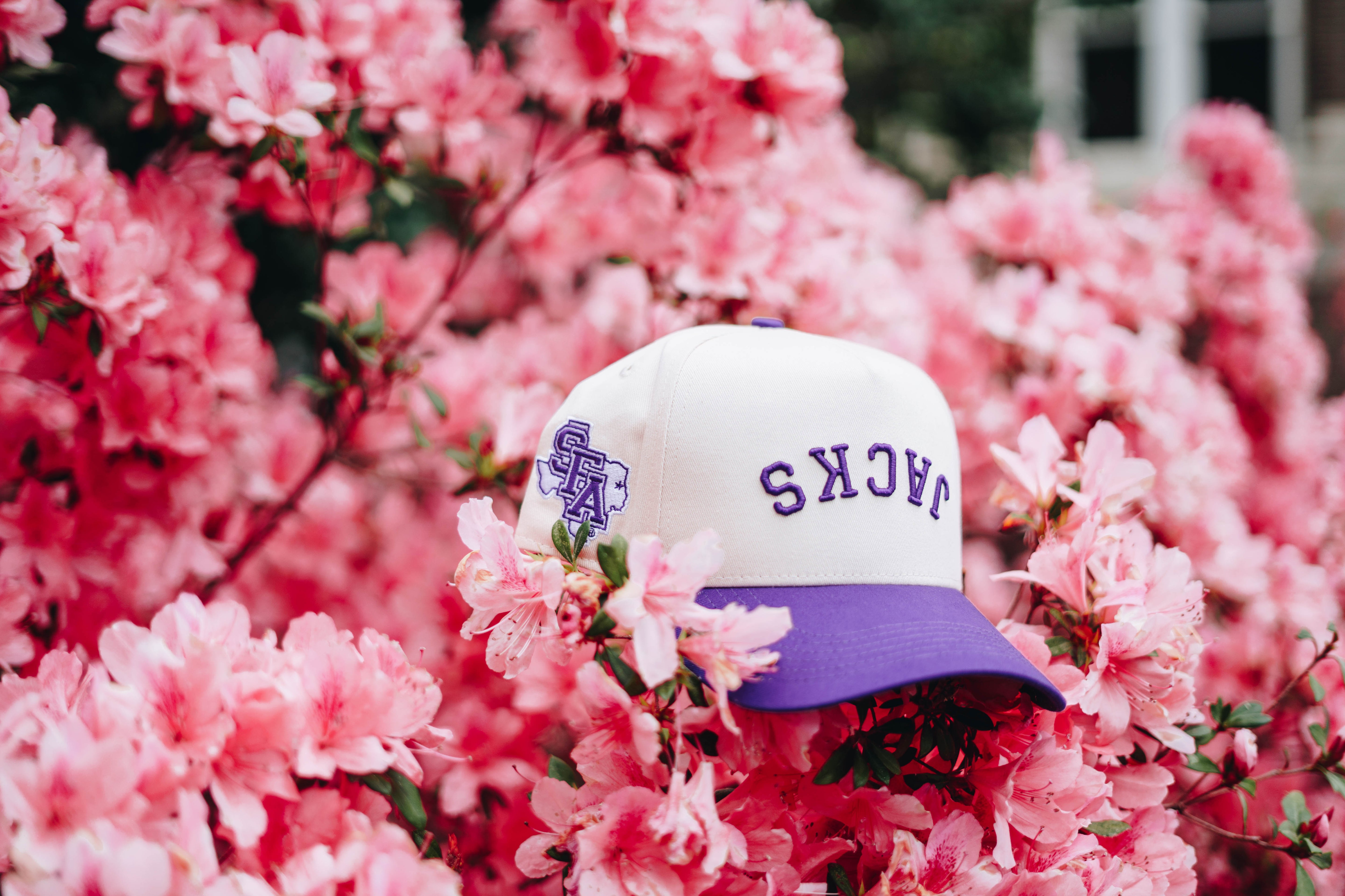 Stephen F. Austin - PURPLE / OFFWHITE (Jacks)