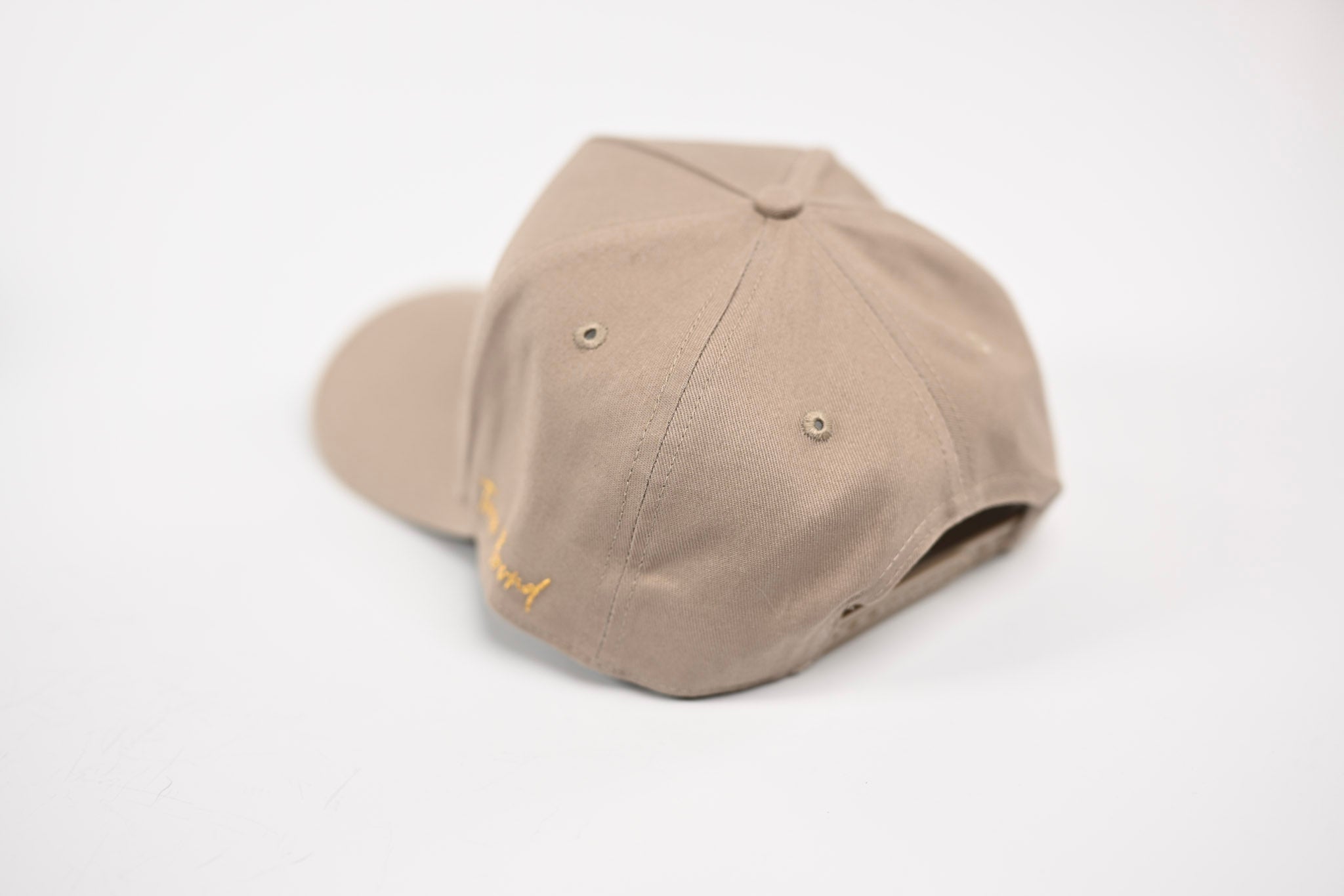 Precurved Dallas snapback - TONAL SAND