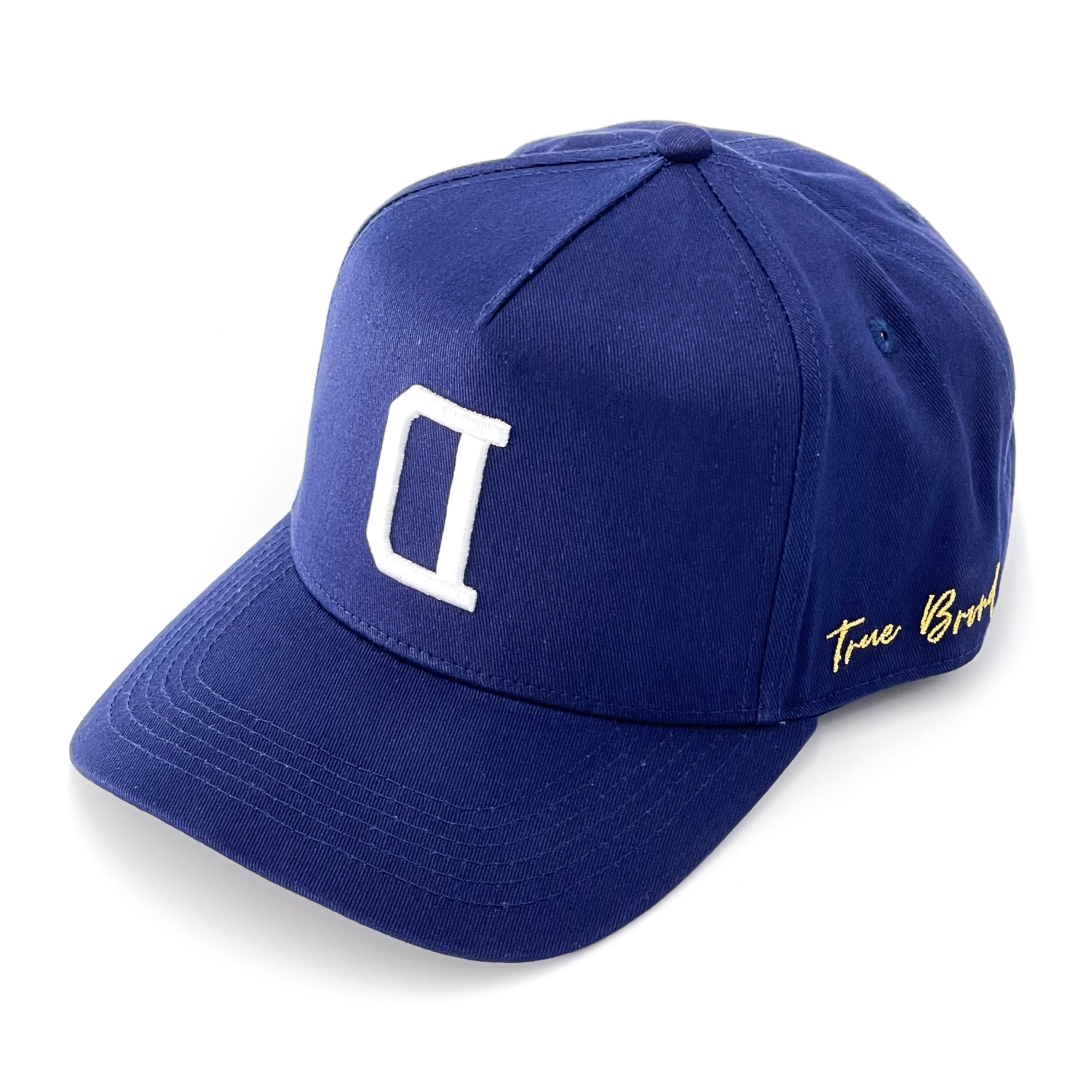V2 Precurved snapback - NAVY / WHITE