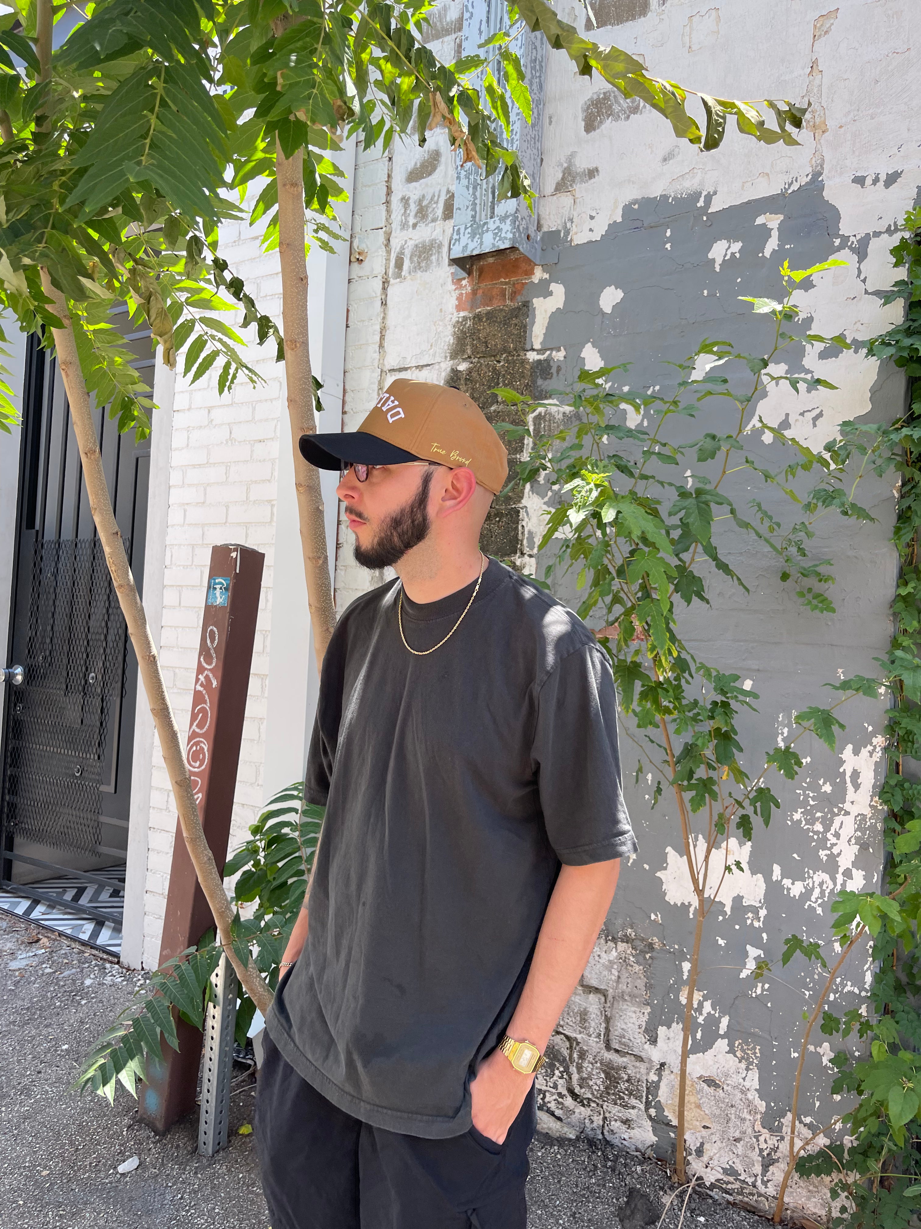 " Wheat " - Precurved Dallas snapback - BLACK / WHEAT