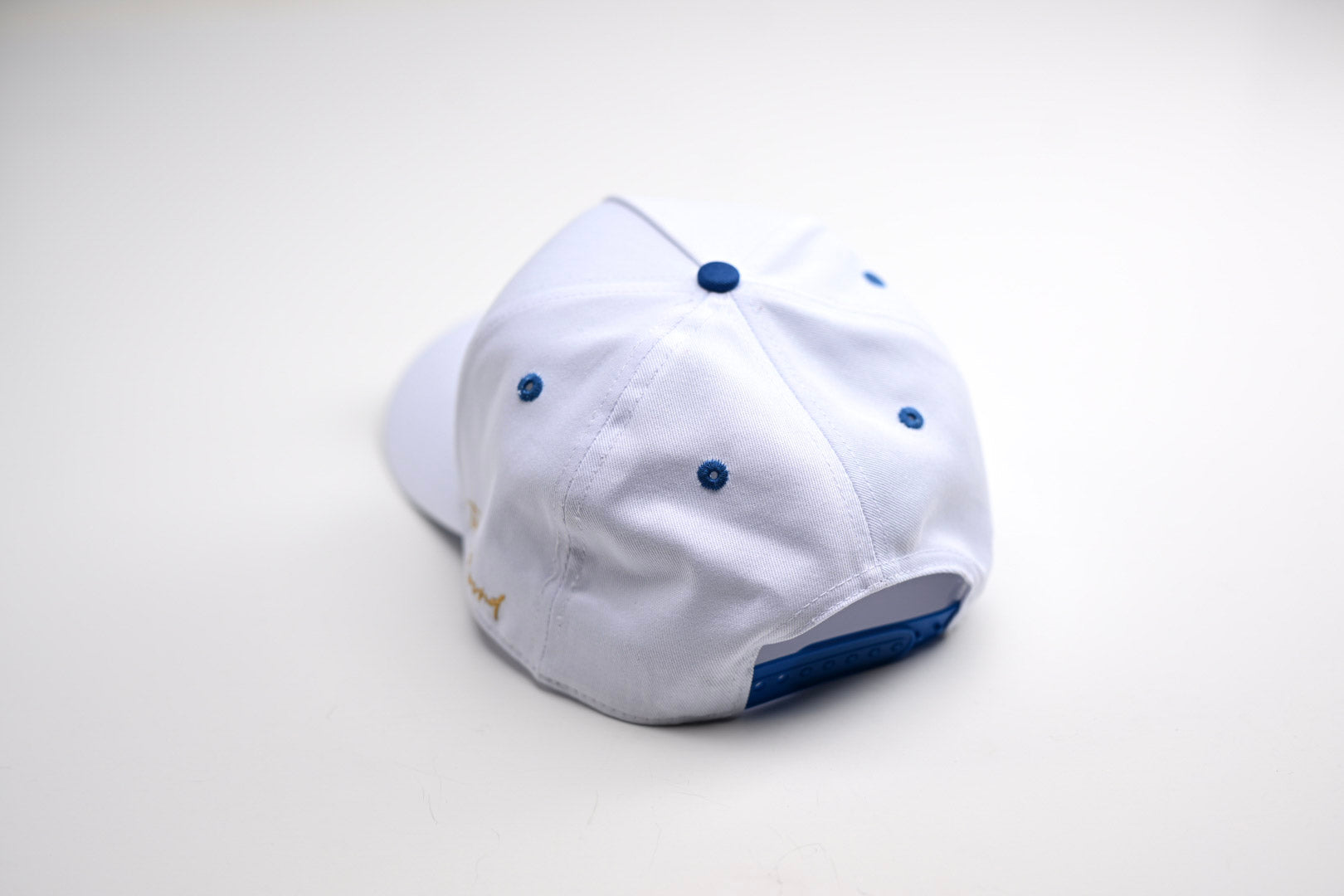 Precurved Dallas snapback - WHITE w/ ROYAL ACCENTS