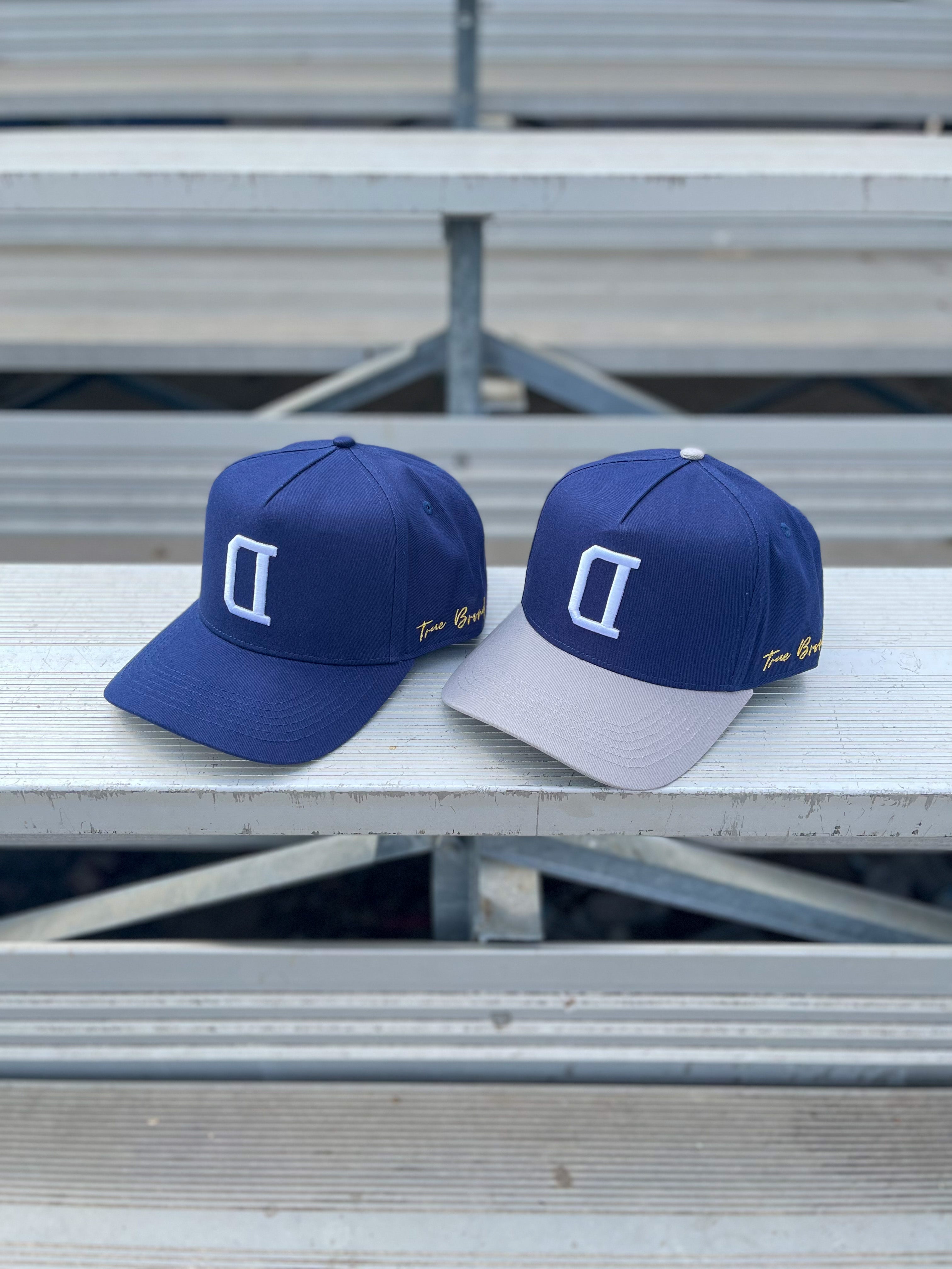 V2 Precurved snapback - GRAY / NAVY