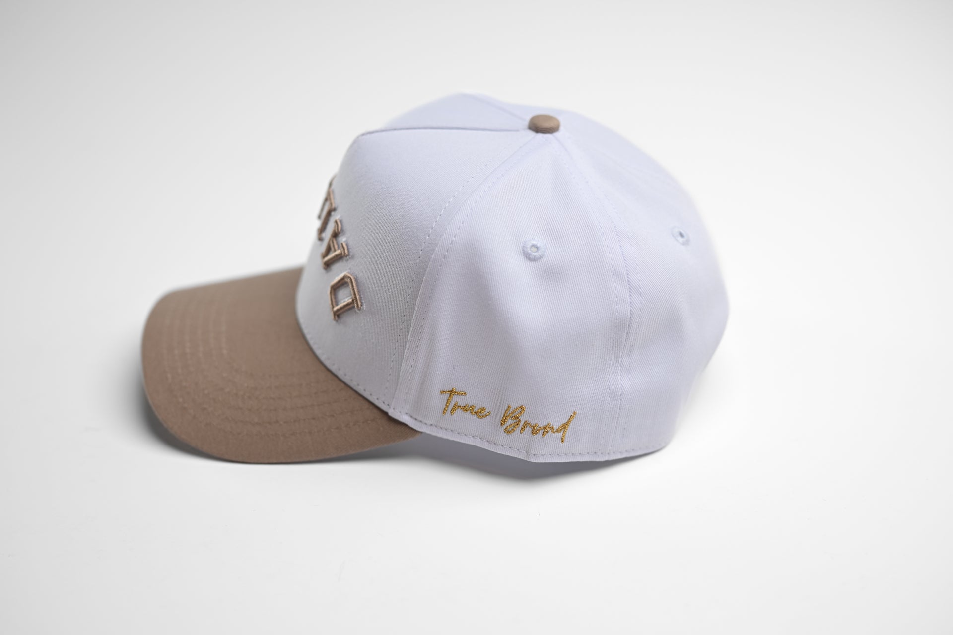 Precurved Dallas snapback - TAUPE / WHITE