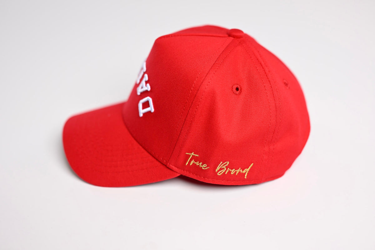 Upside Down Dallas snapback - Red – True Brvnd