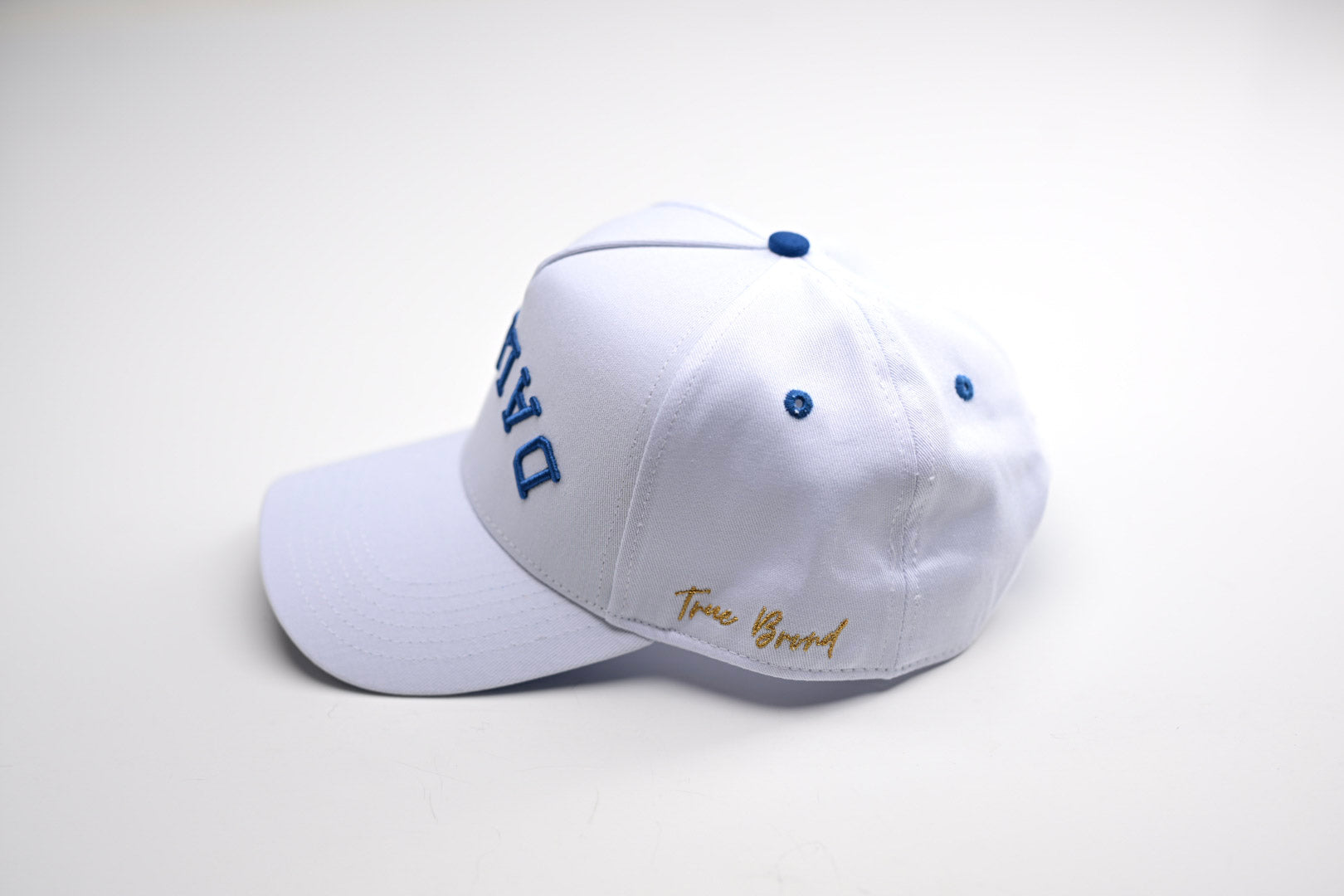 Precurved Dallas snapback - WHITE w/ ROYAL ACCENTS