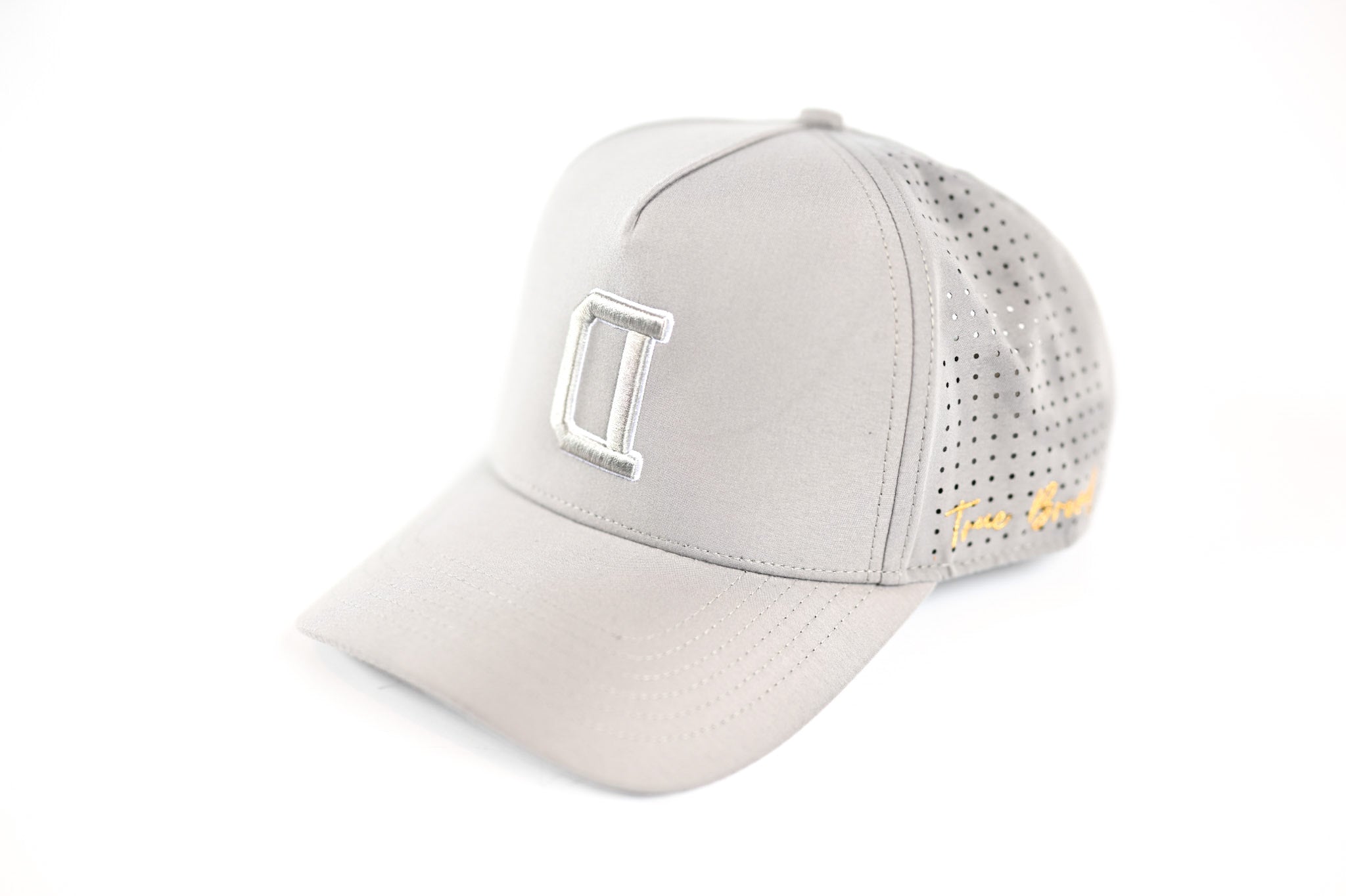 V2 Lightweight Snapback - GRAY