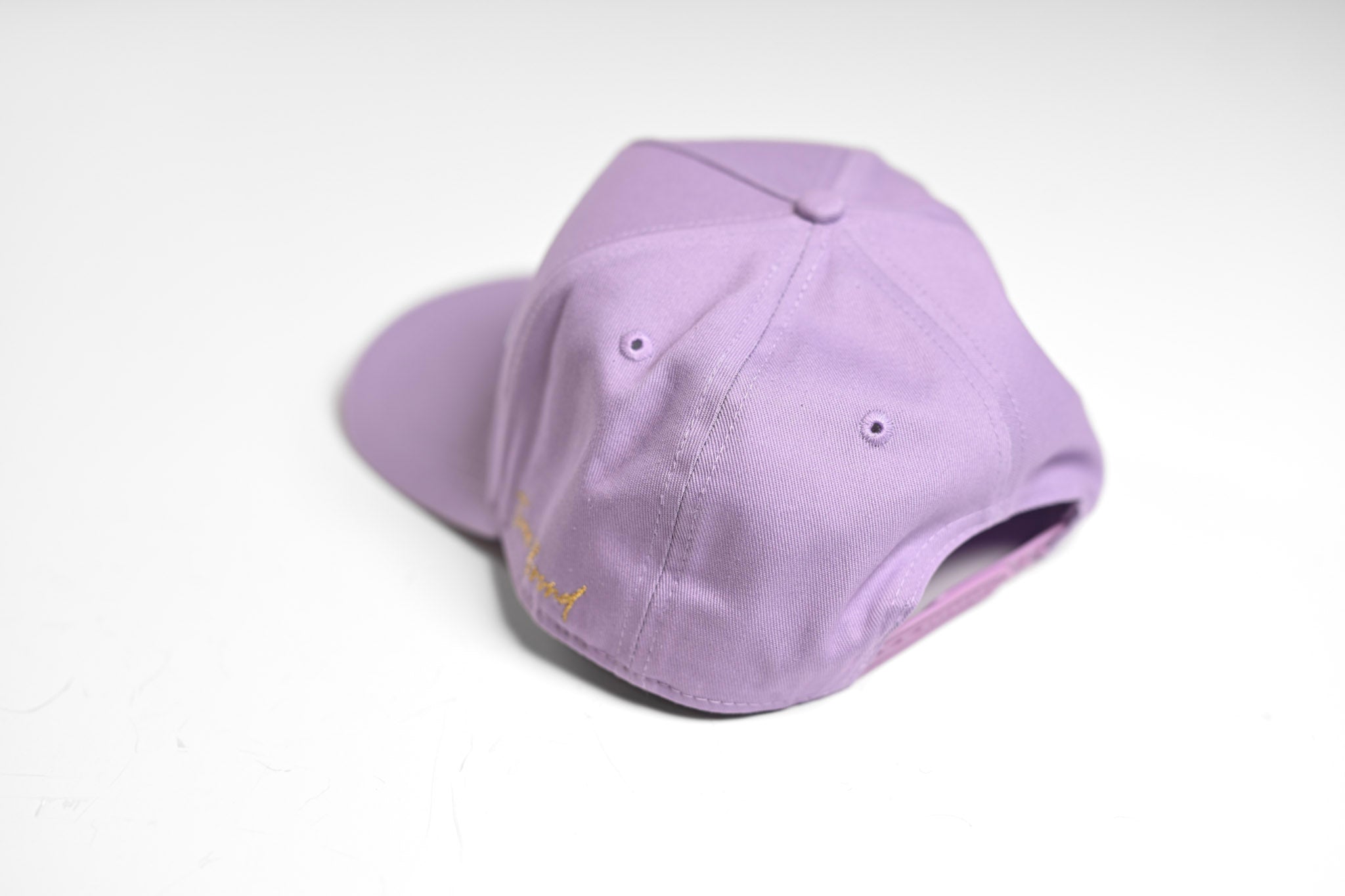 Precurved Dallas snapback - LAVENDER