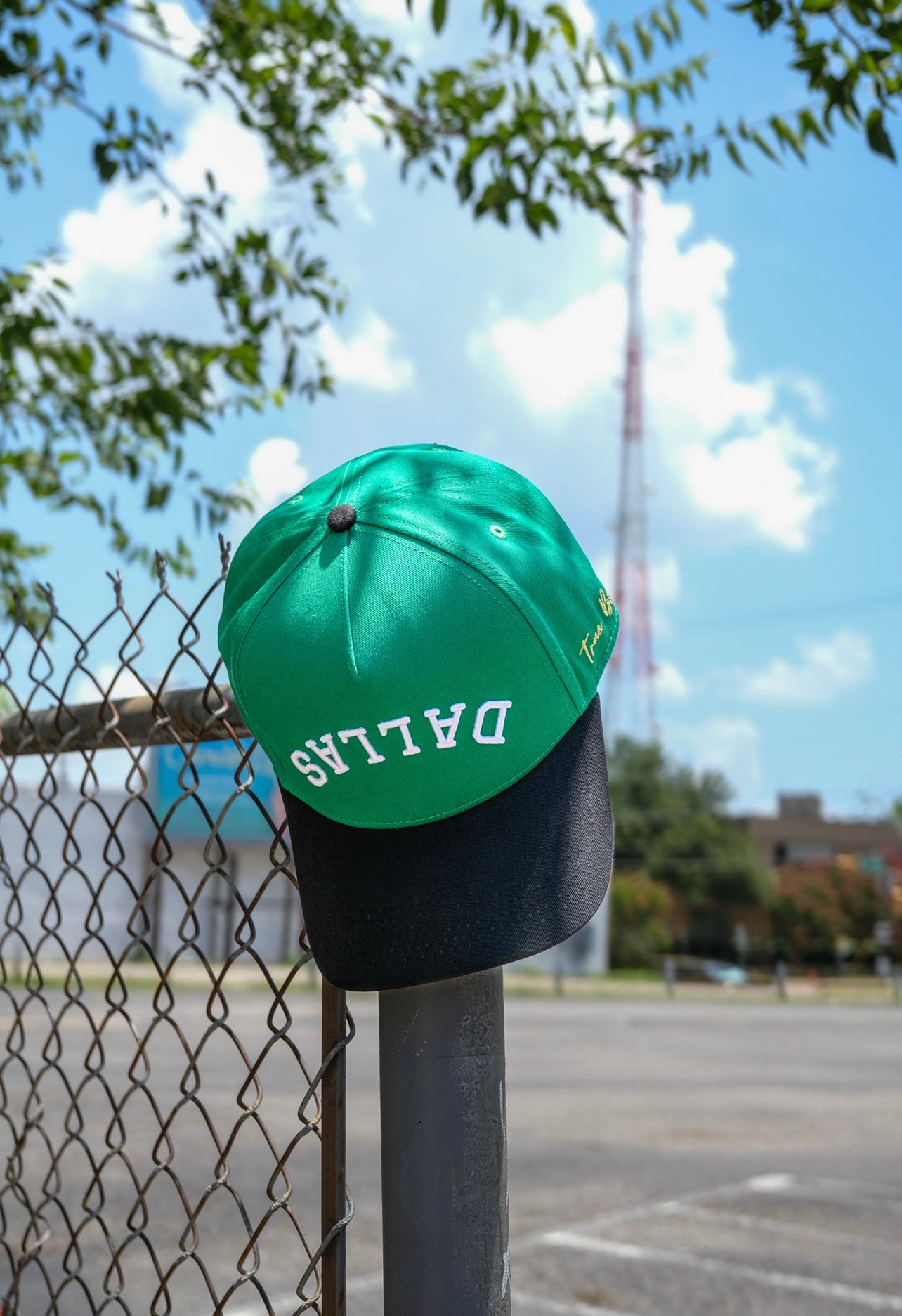 " Green Apple " - Precurved Dallas snapback - BLACK / GREEN