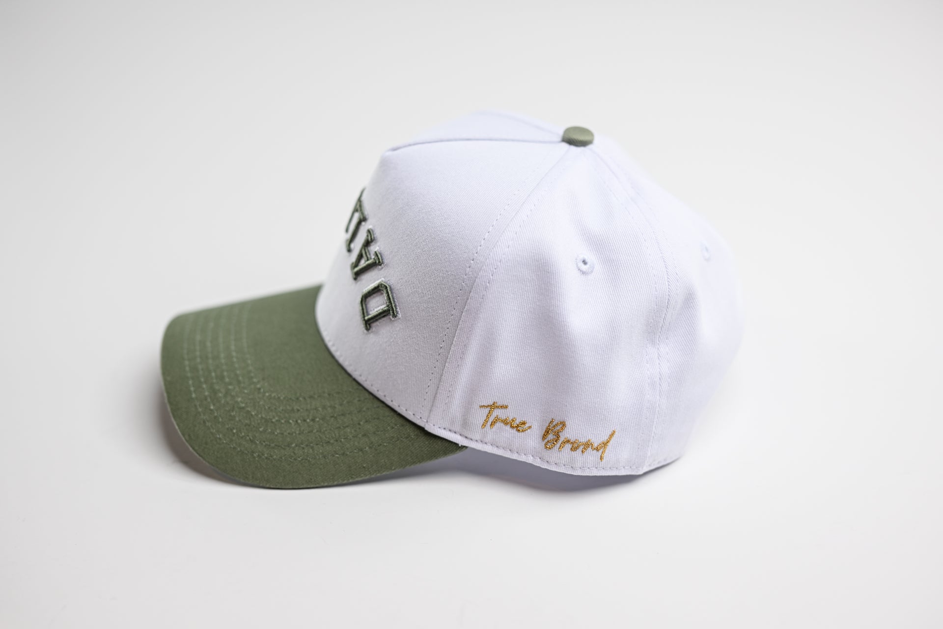 Precurved Dallas snapback - SAGE / WHITE