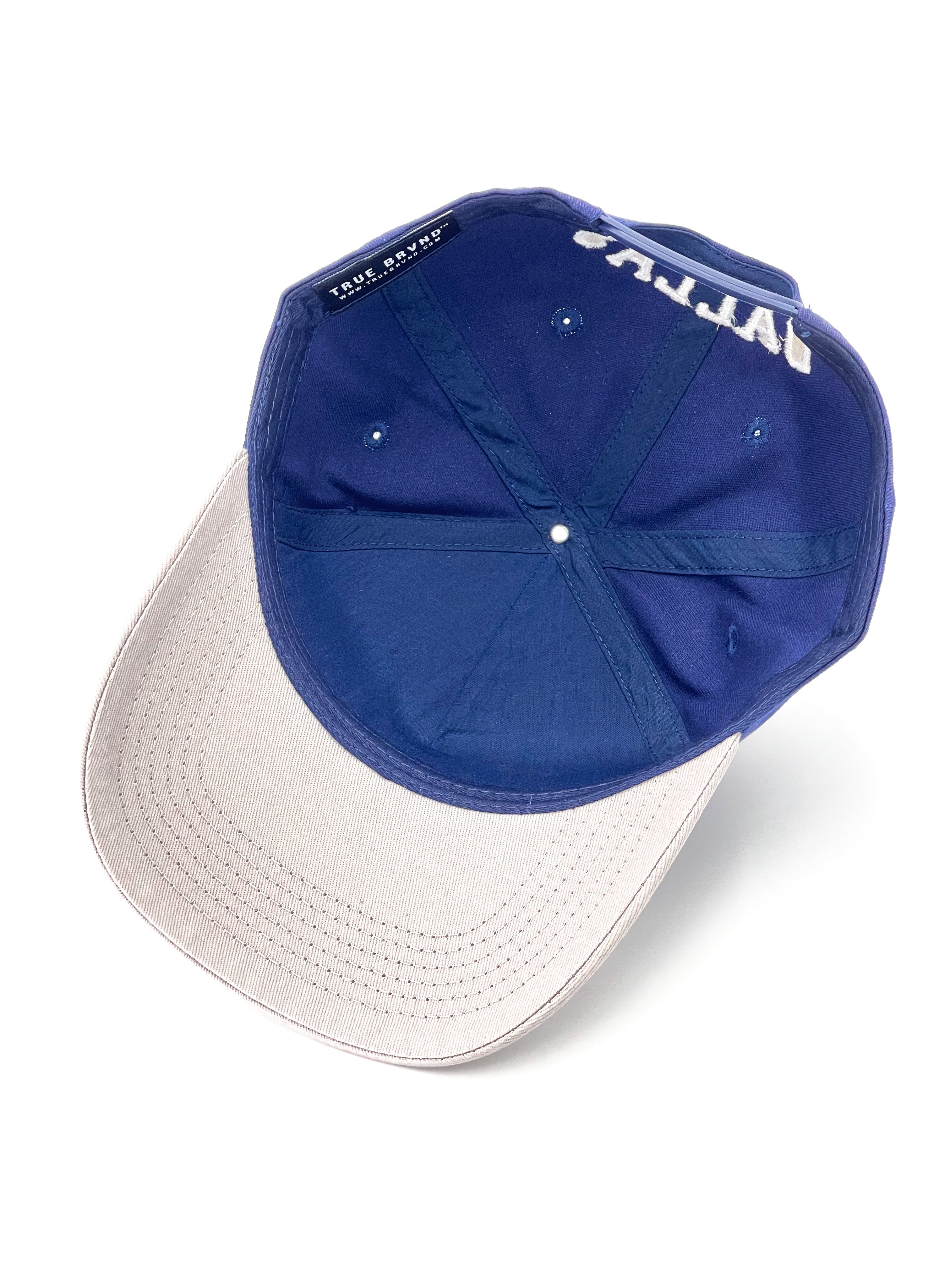 V2 Precurved snapback - GRAY / NAVY