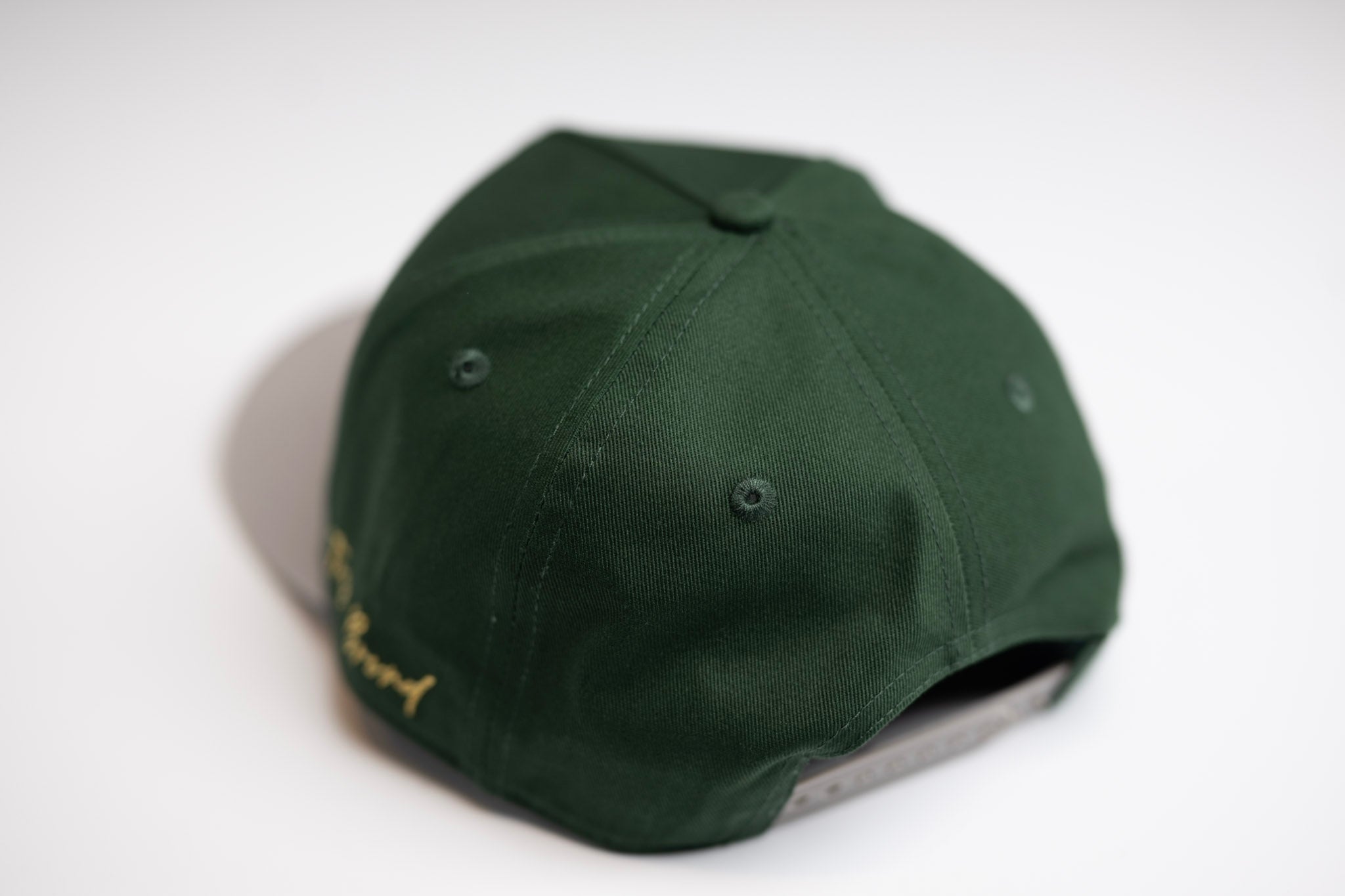 Precurved Dallas snapback - GRAY / FOREST GREEN