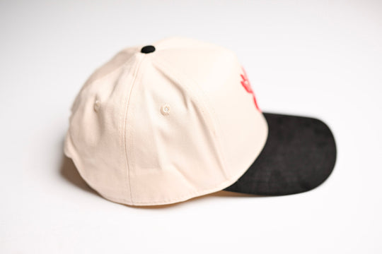 Pegasus snapback - BLACK / OFFWHITE