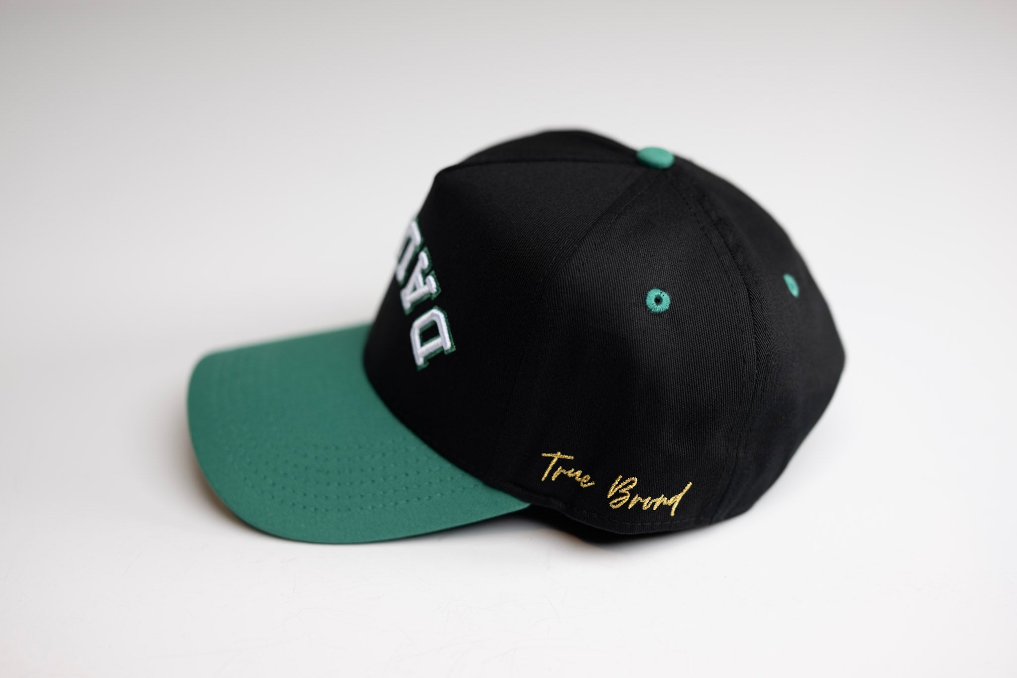 Precurved Dallas snapback - EUCALYPTUS / BLACK