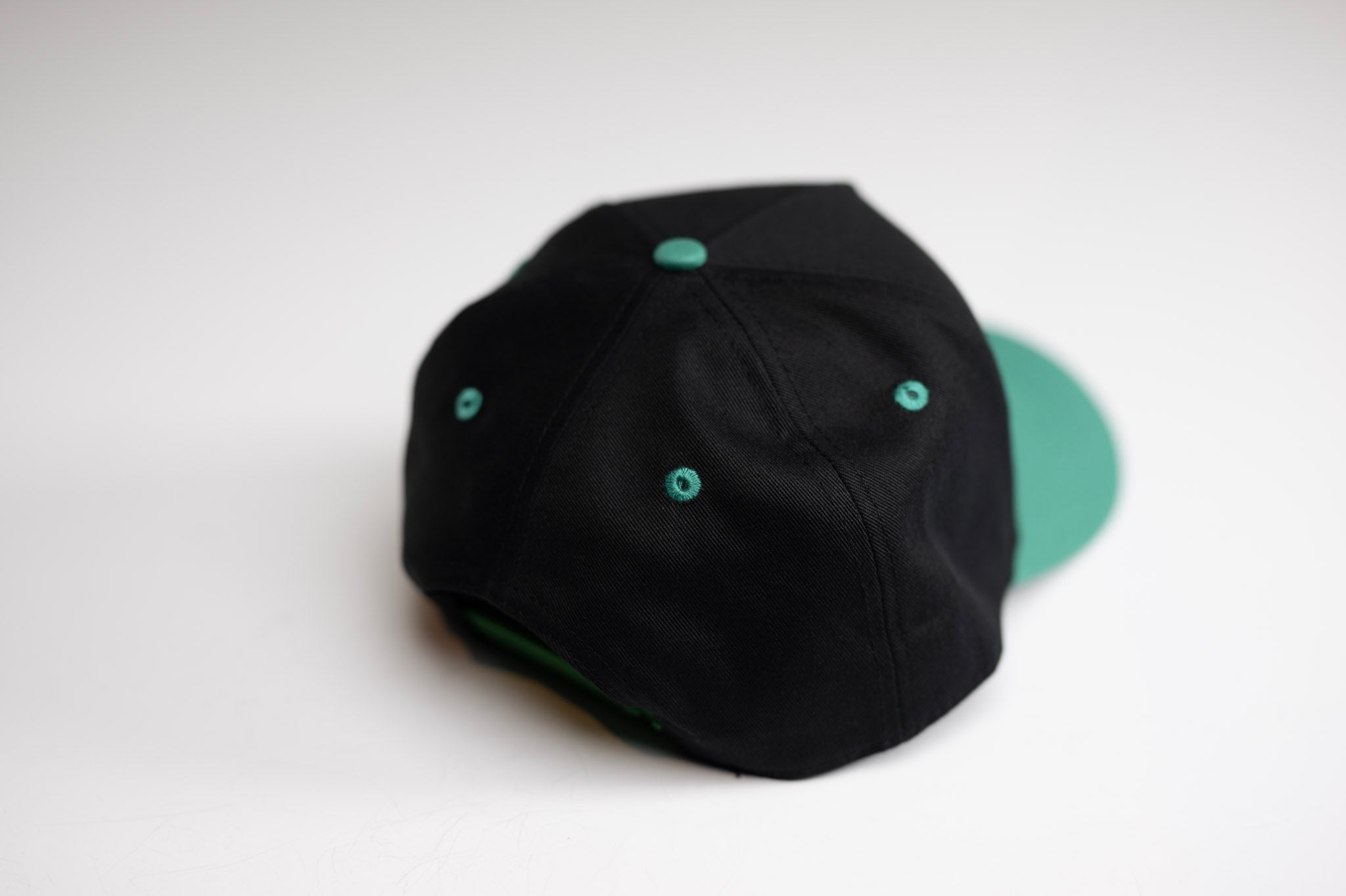 Precurved Dallas snapback - EUCALYPTUS / BLACK