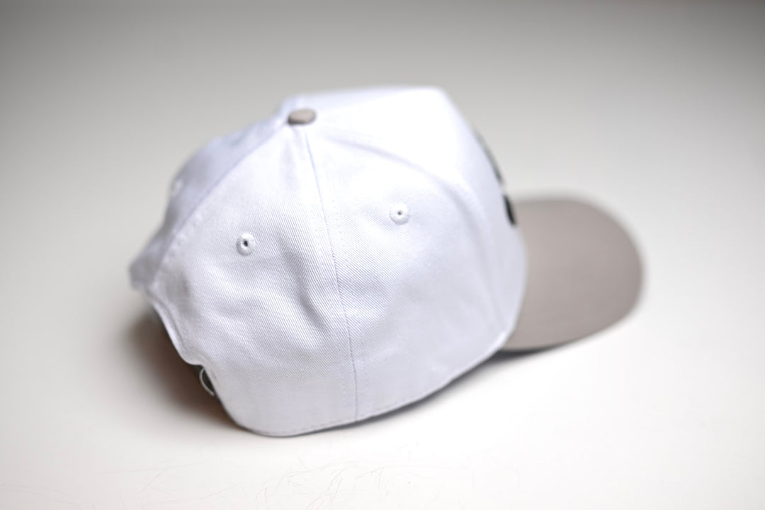 Precurved Dallas snapback -  GRAY / WHITE