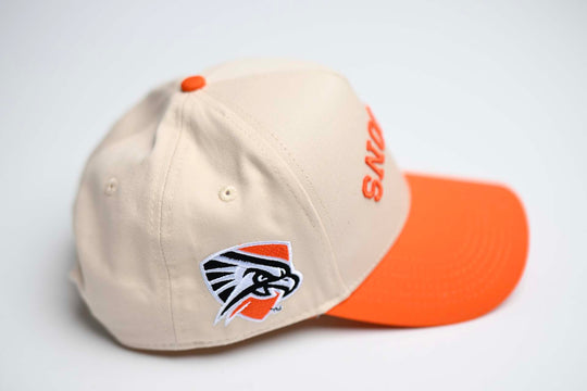 UT Permian Basin - ORANGE / OFFWHITE (USD FALCONS)