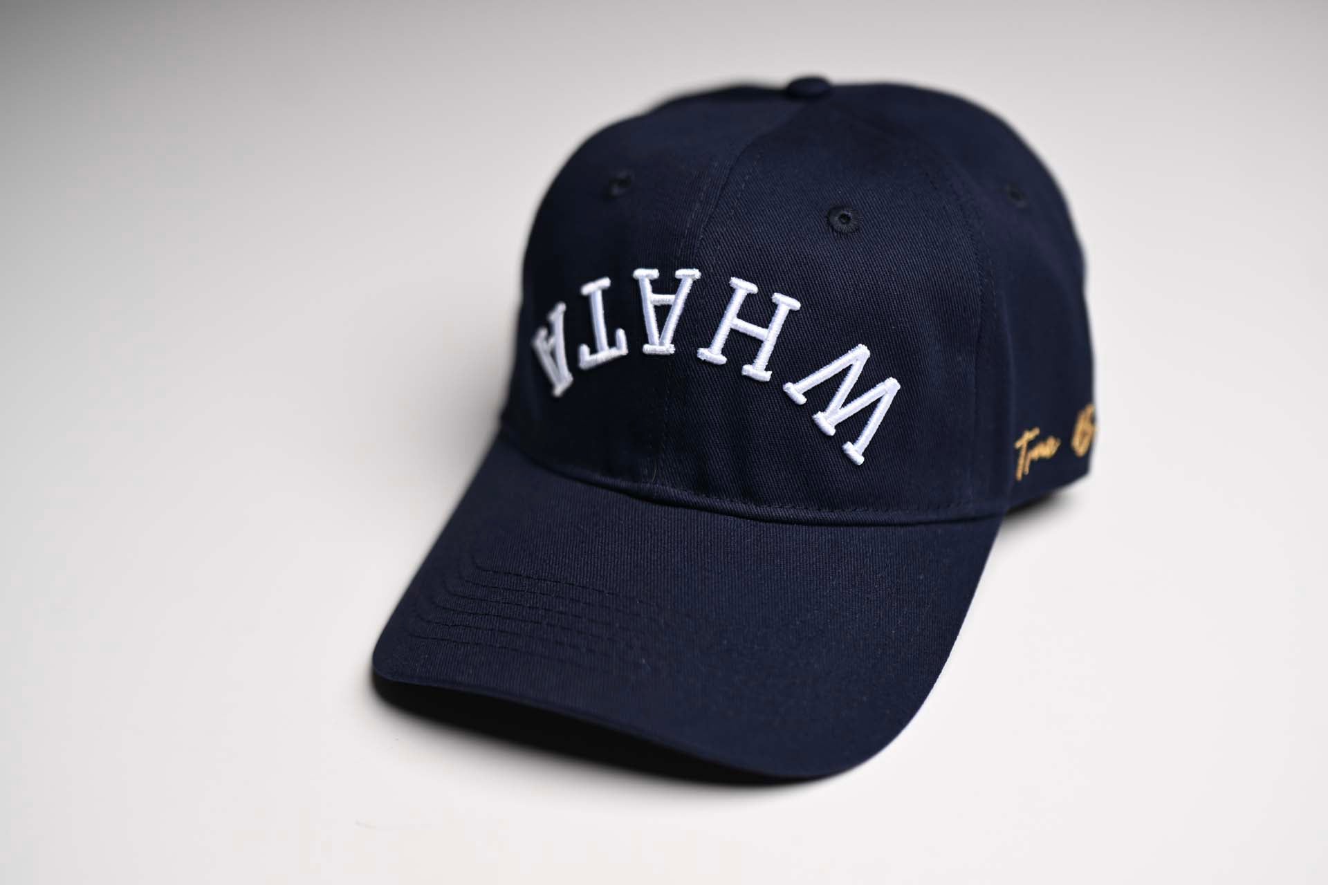 WHATABURGER Dad Hat - NAVY (dad hat)