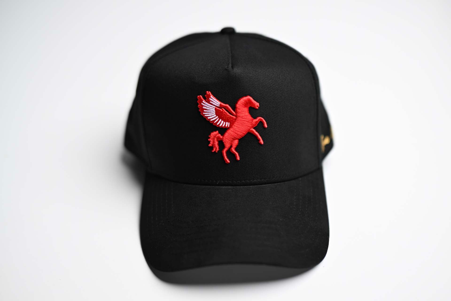 Pegasus snapback - BLACK