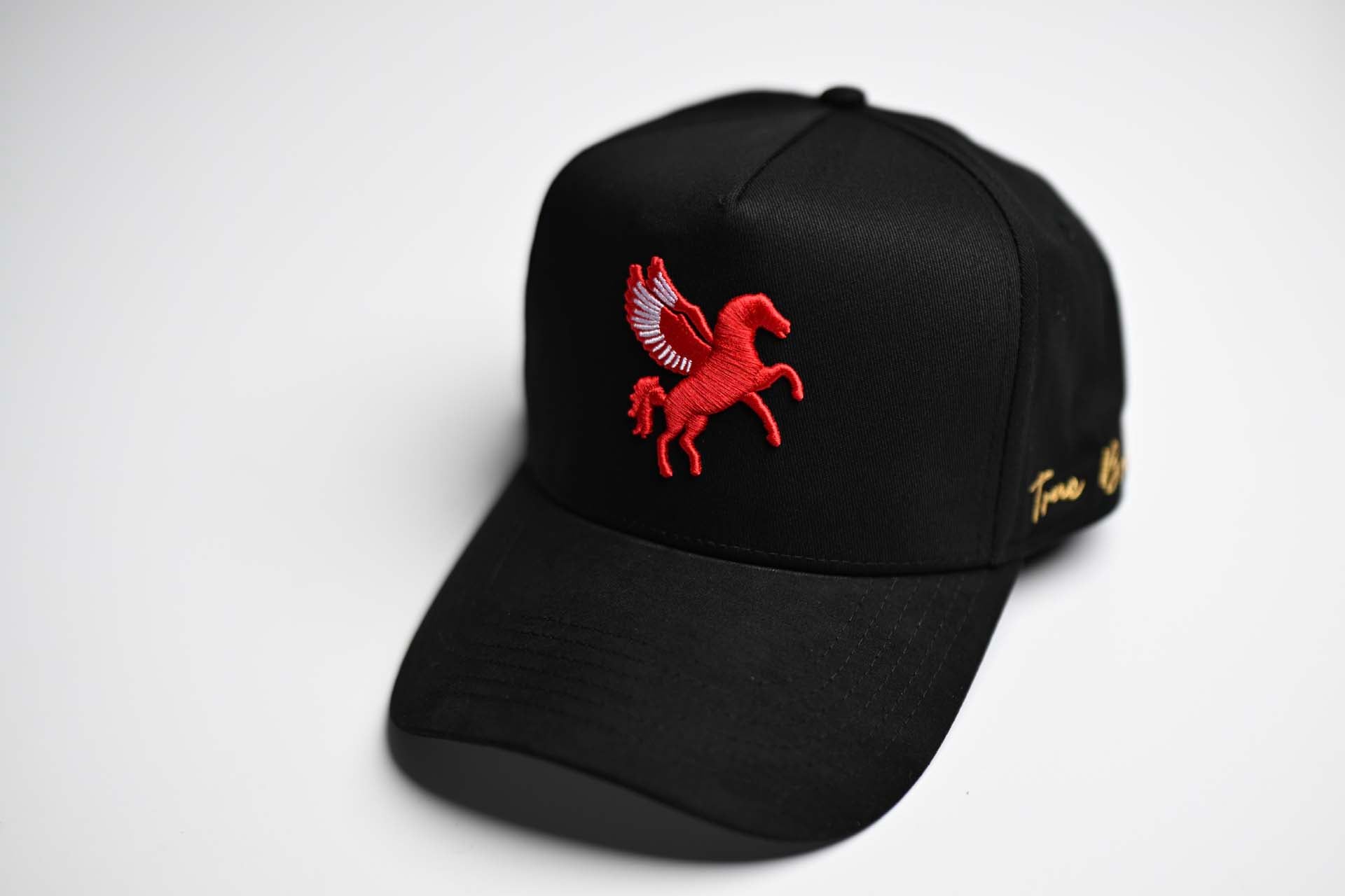 Pegasus snapback - BLACK