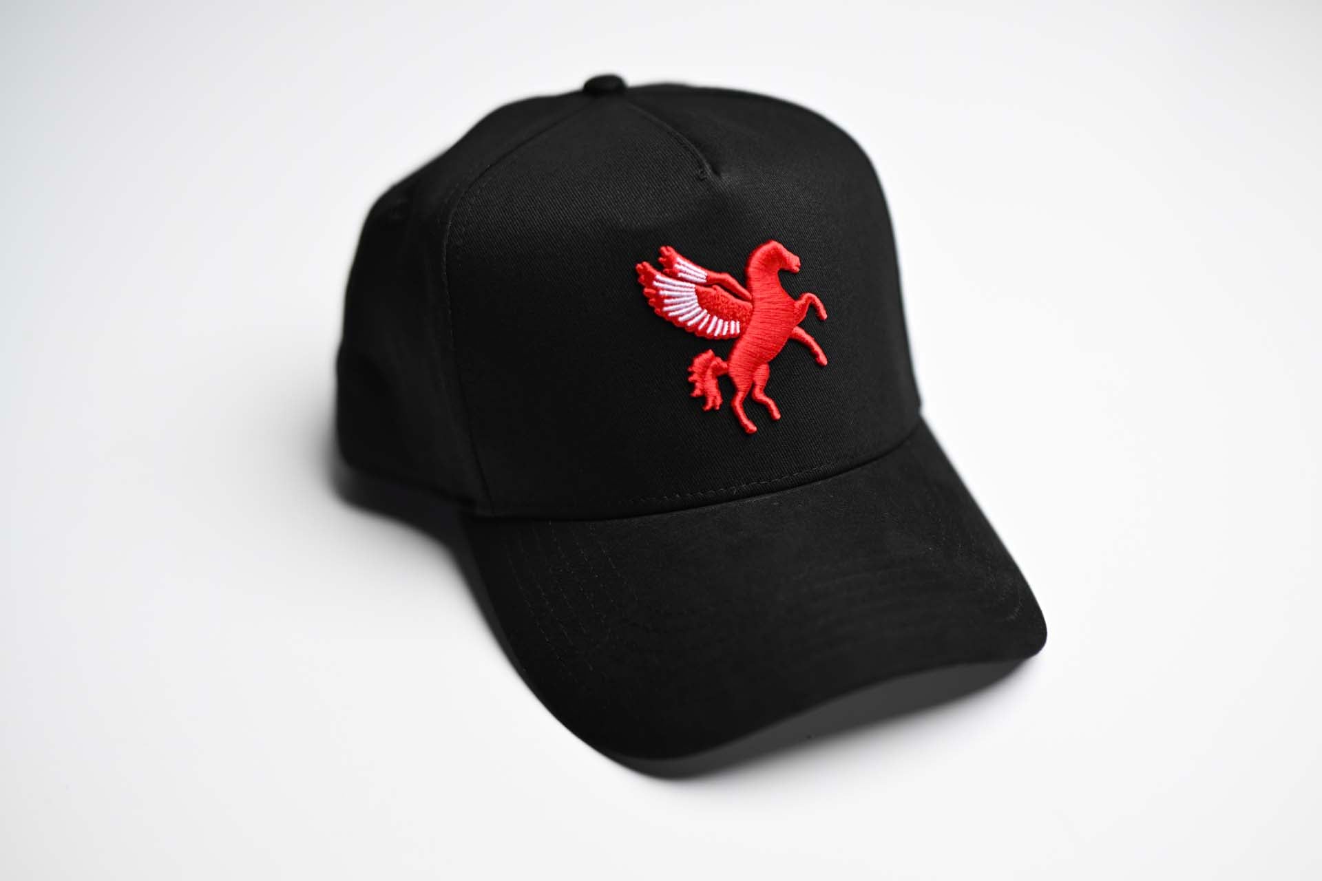 Pegasus snapback - BLACK