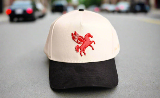 Pegasus snapback - BLACK / OFFWHITE