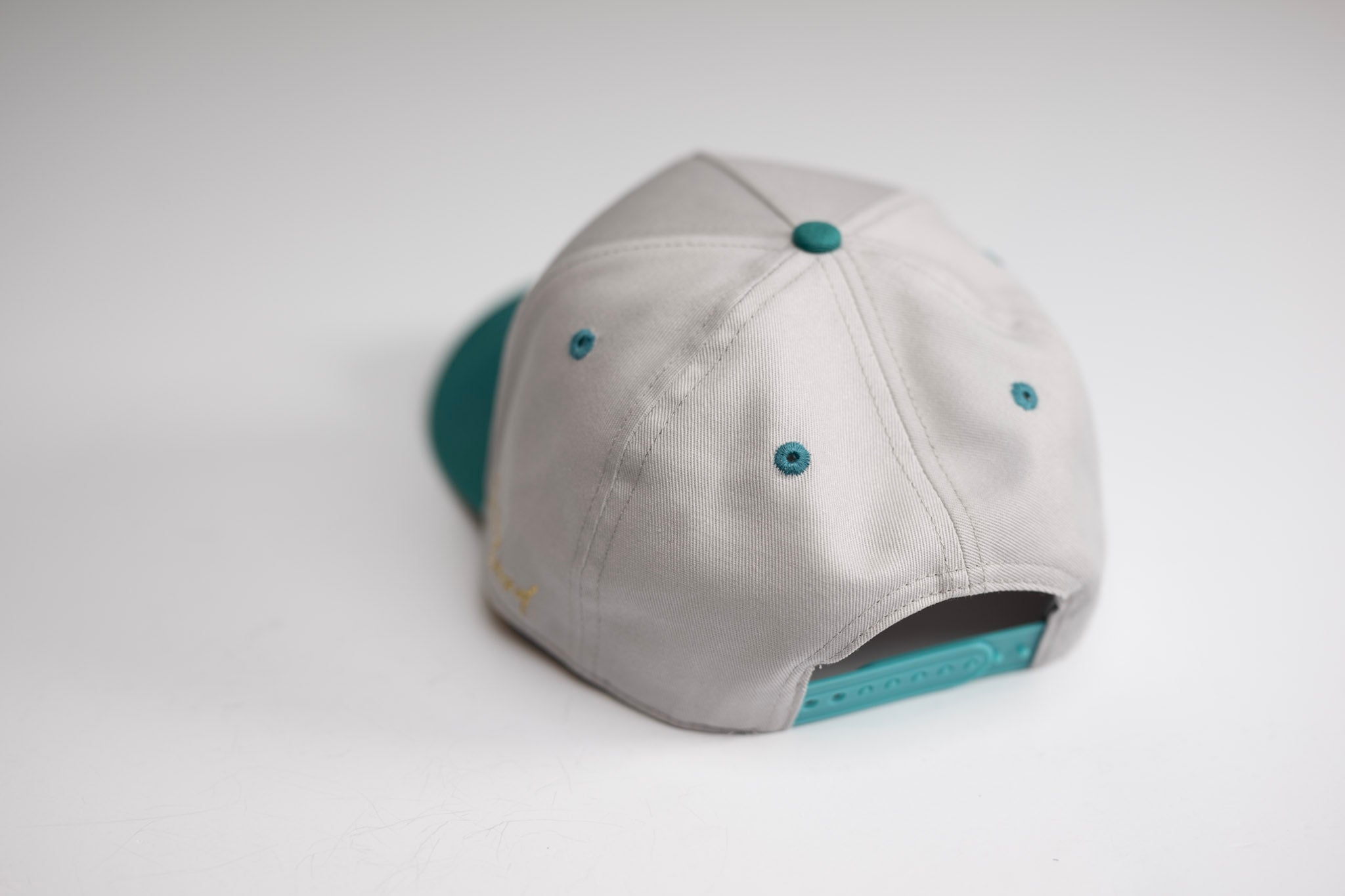 Precurved Dallas snapback - TEAL / LITE GRAY