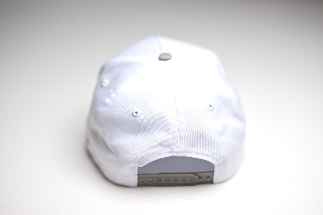 Precurved Dallas snapback -  GRAY / WHITE