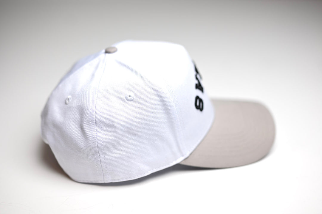 Precurved Dallas snapback -  GRAY / WHITE