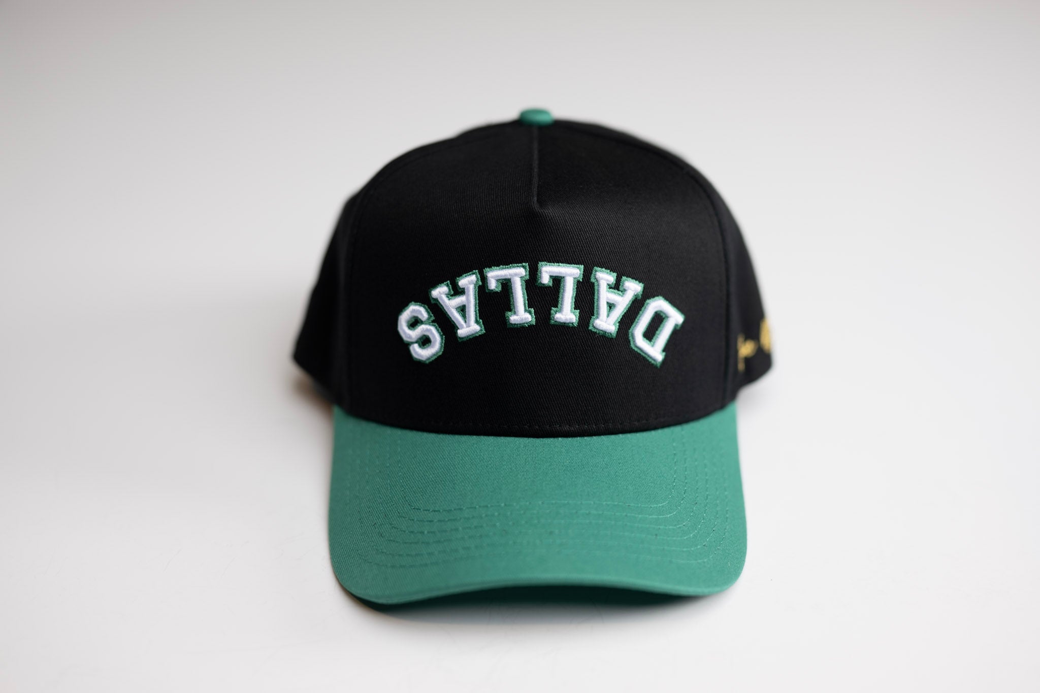 Precurved Dallas snapback - EUCALYPTUS / BLACK