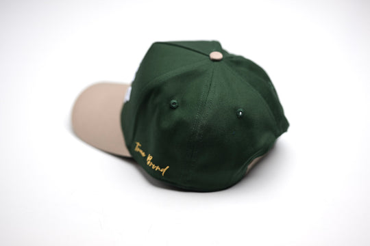 Precurved Dallas snapback - Sand / Forest Green
