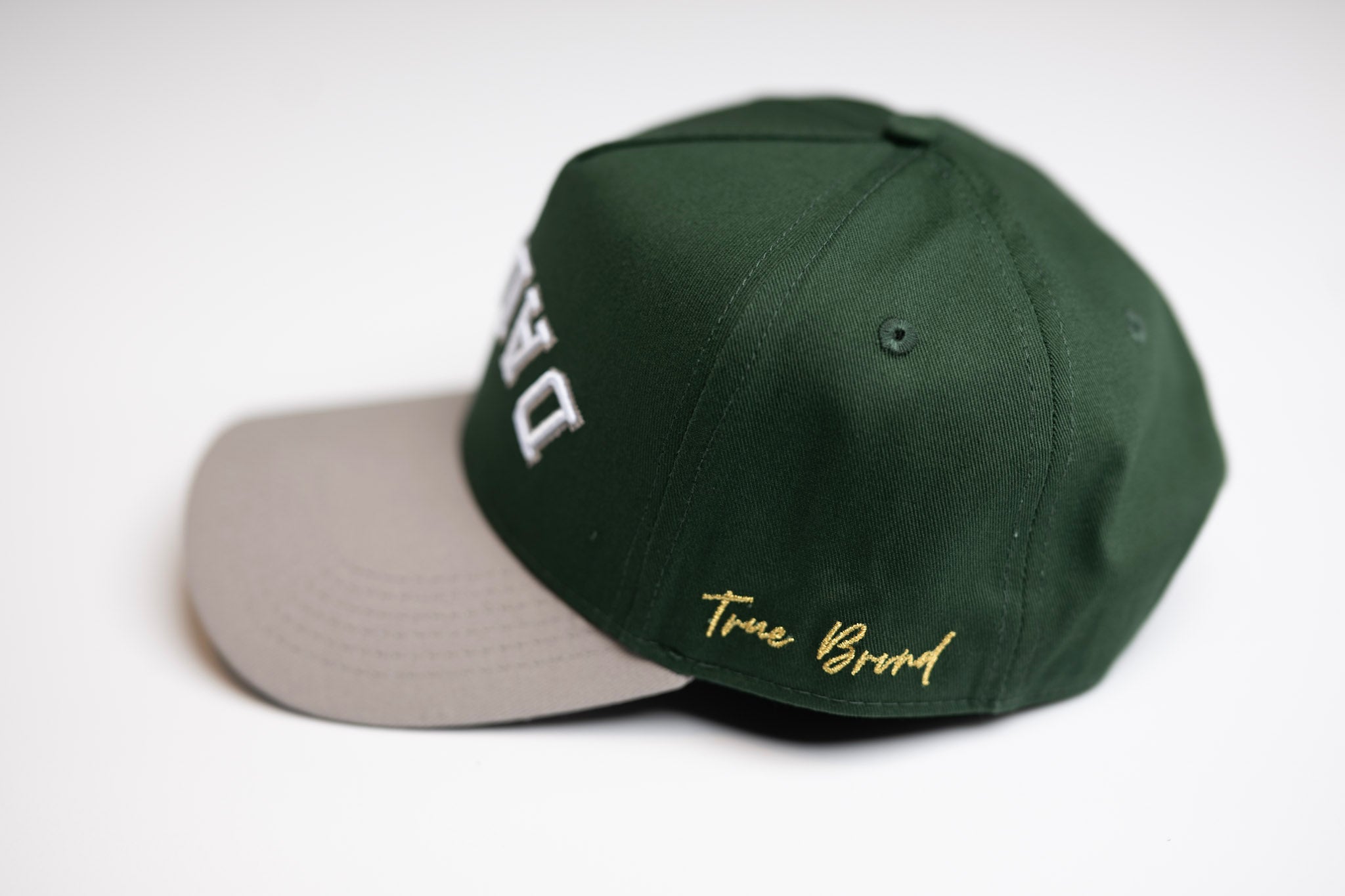 Precurved Dallas snapback - GRAY / FOREST GREEN