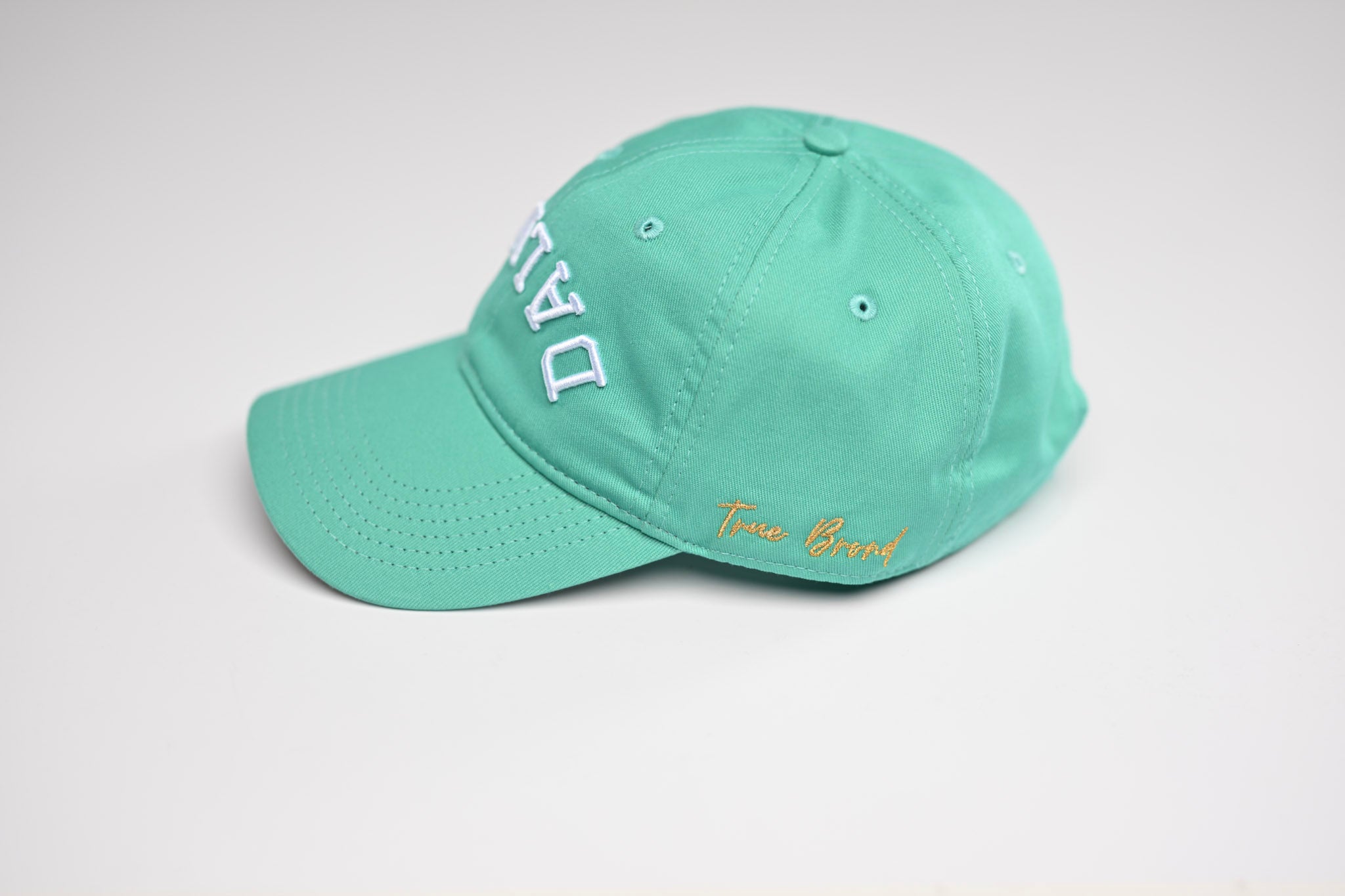 Dad Hat - CYAN DAD