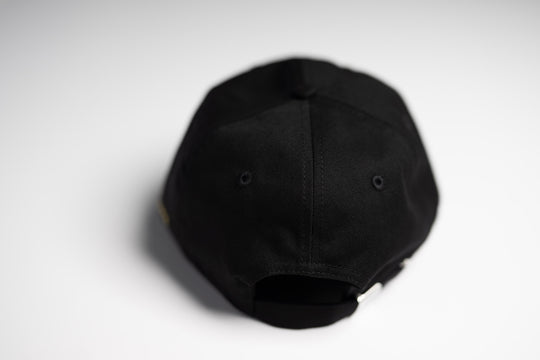 TBD X RT - USD DAD HAT