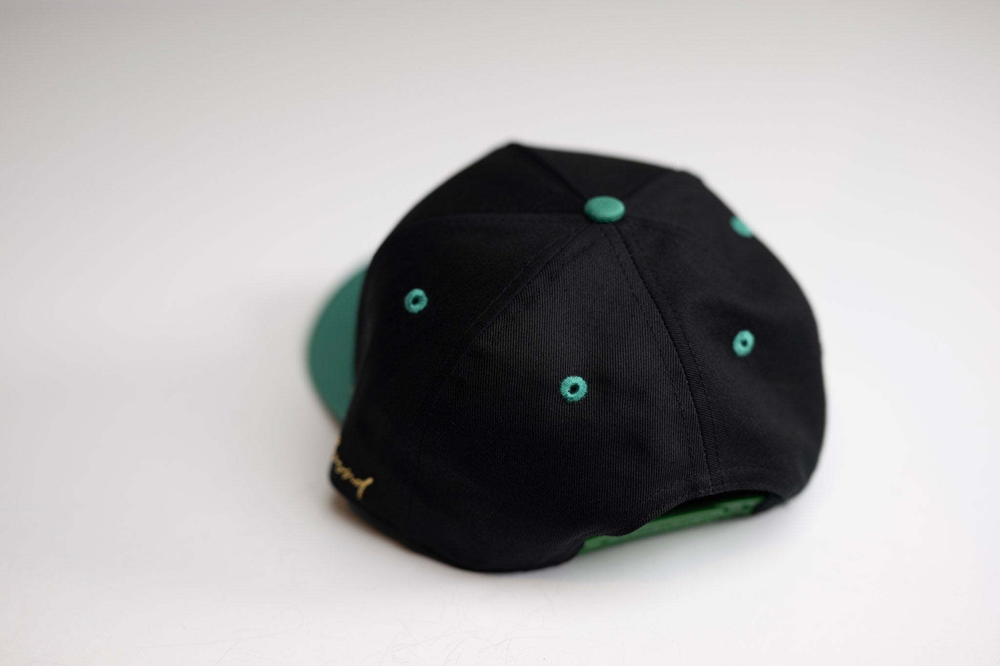 Precurved Dallas snapback - EUCALYPTUS / BLACK