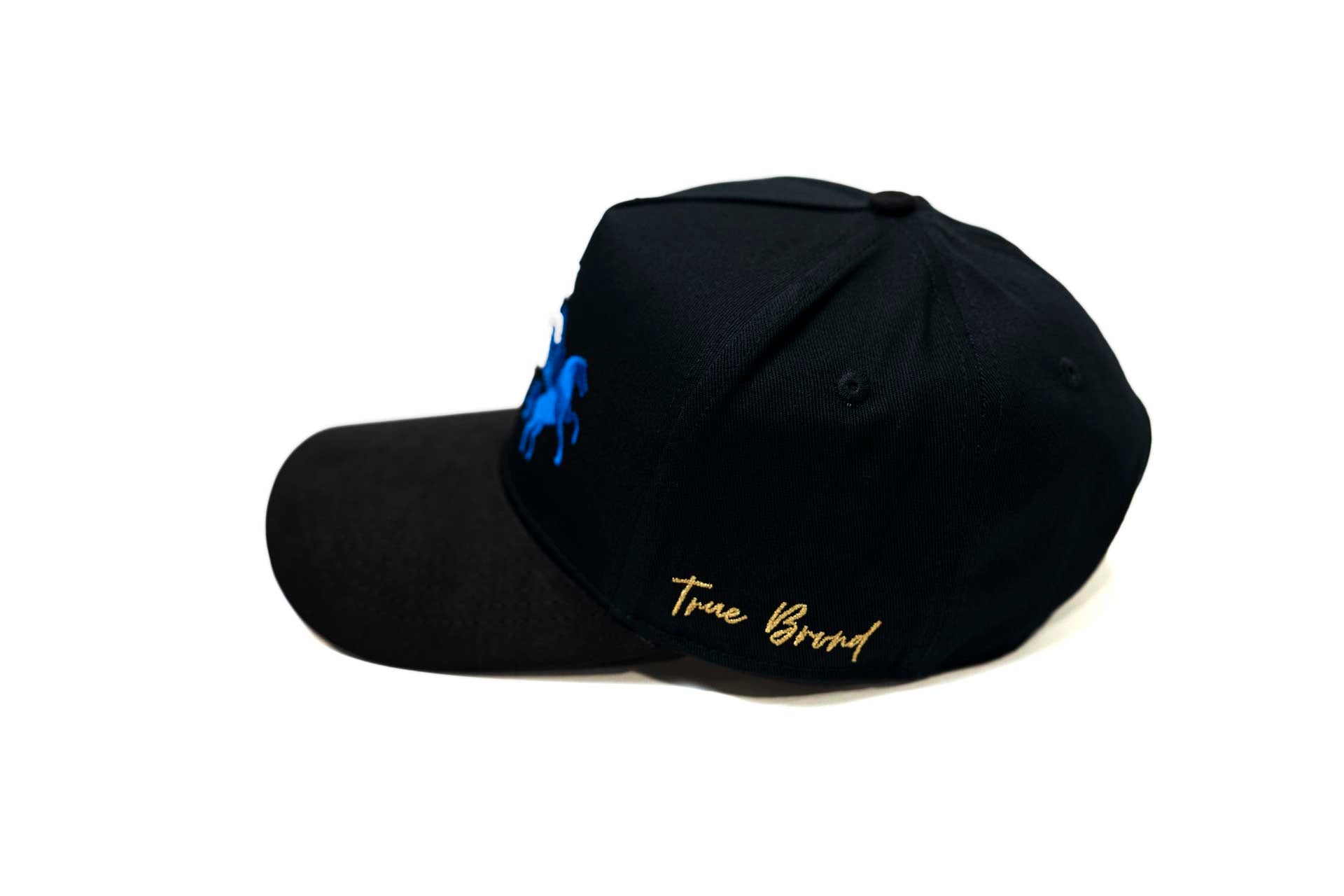 3XPegasus snapback - BLACK (RWB)