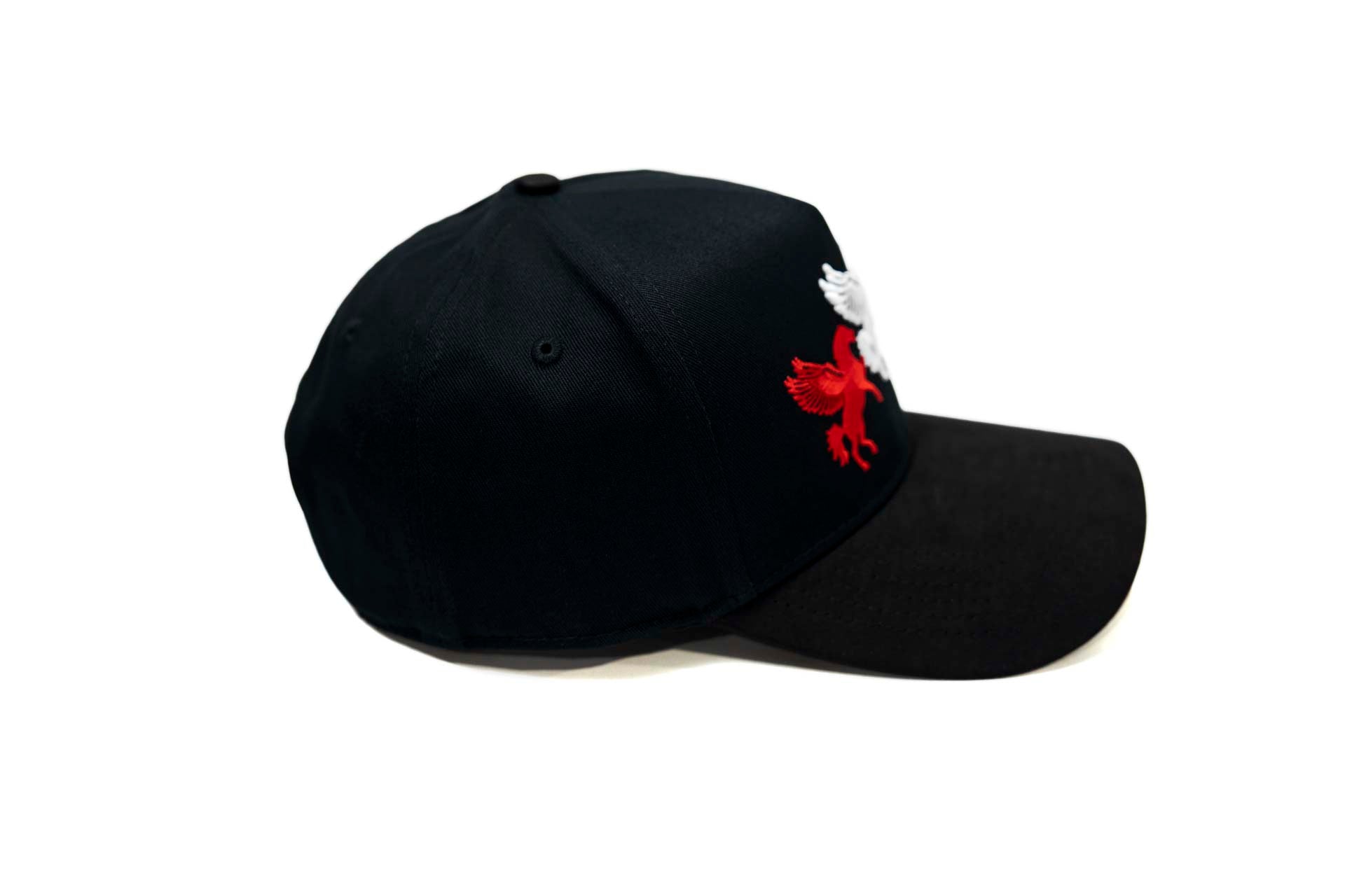 3XPegasus snapback - BLACK (RWB)