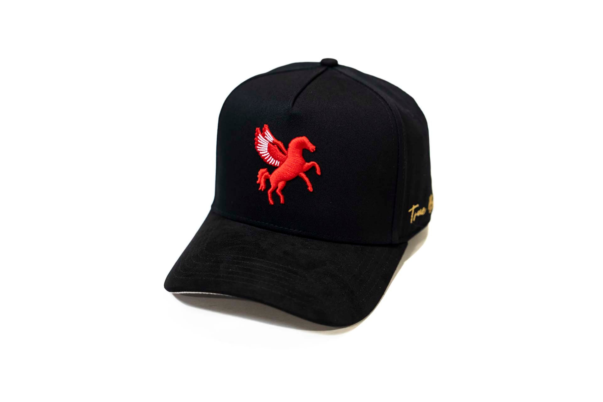 Pegasus snapback - BLACK