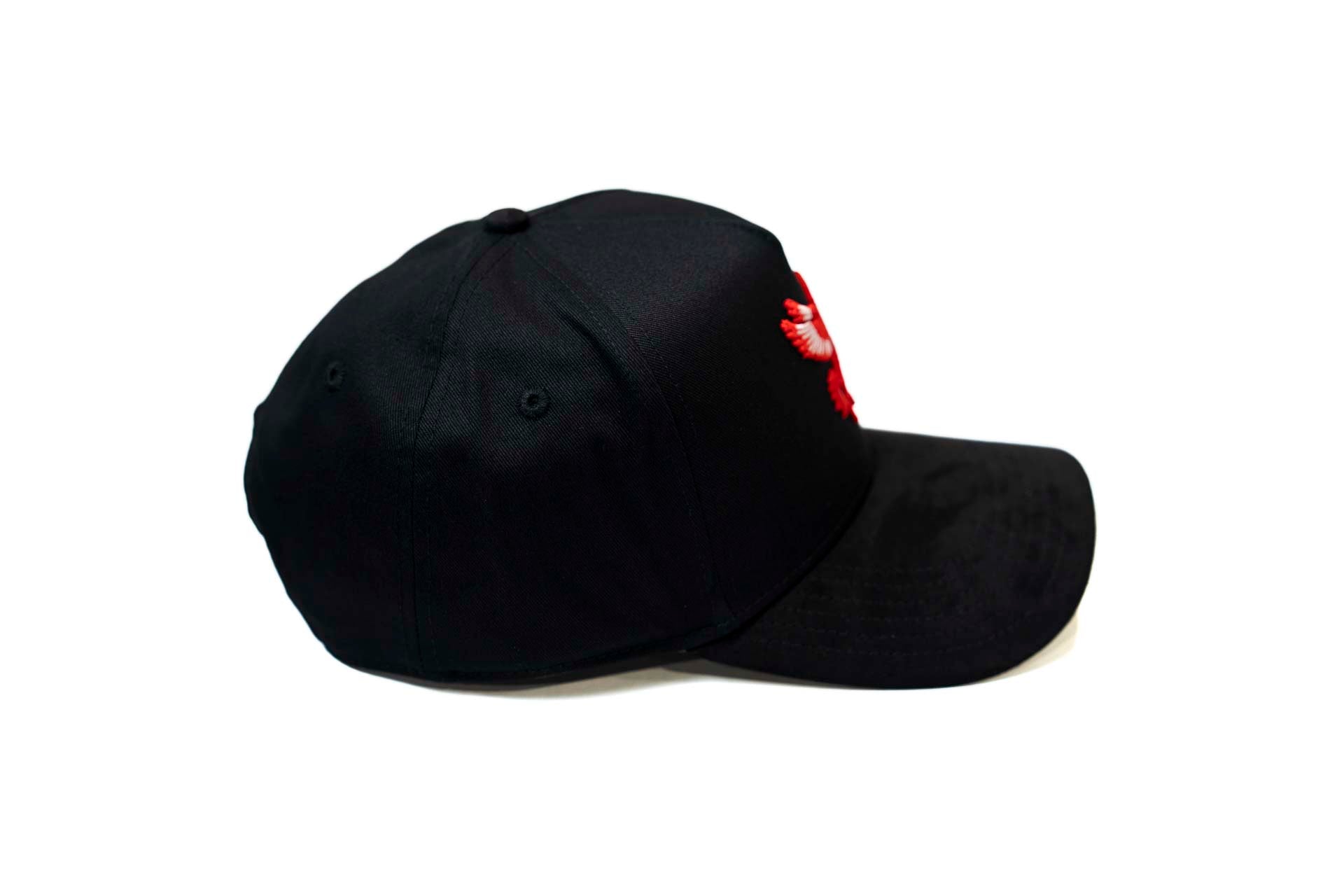Pegasus snapback - BLACK
