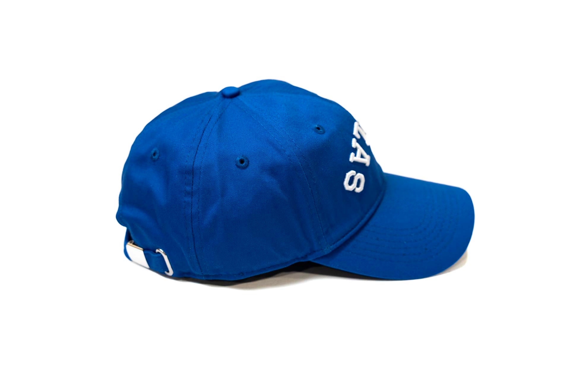 Dad Hat - ROYAL