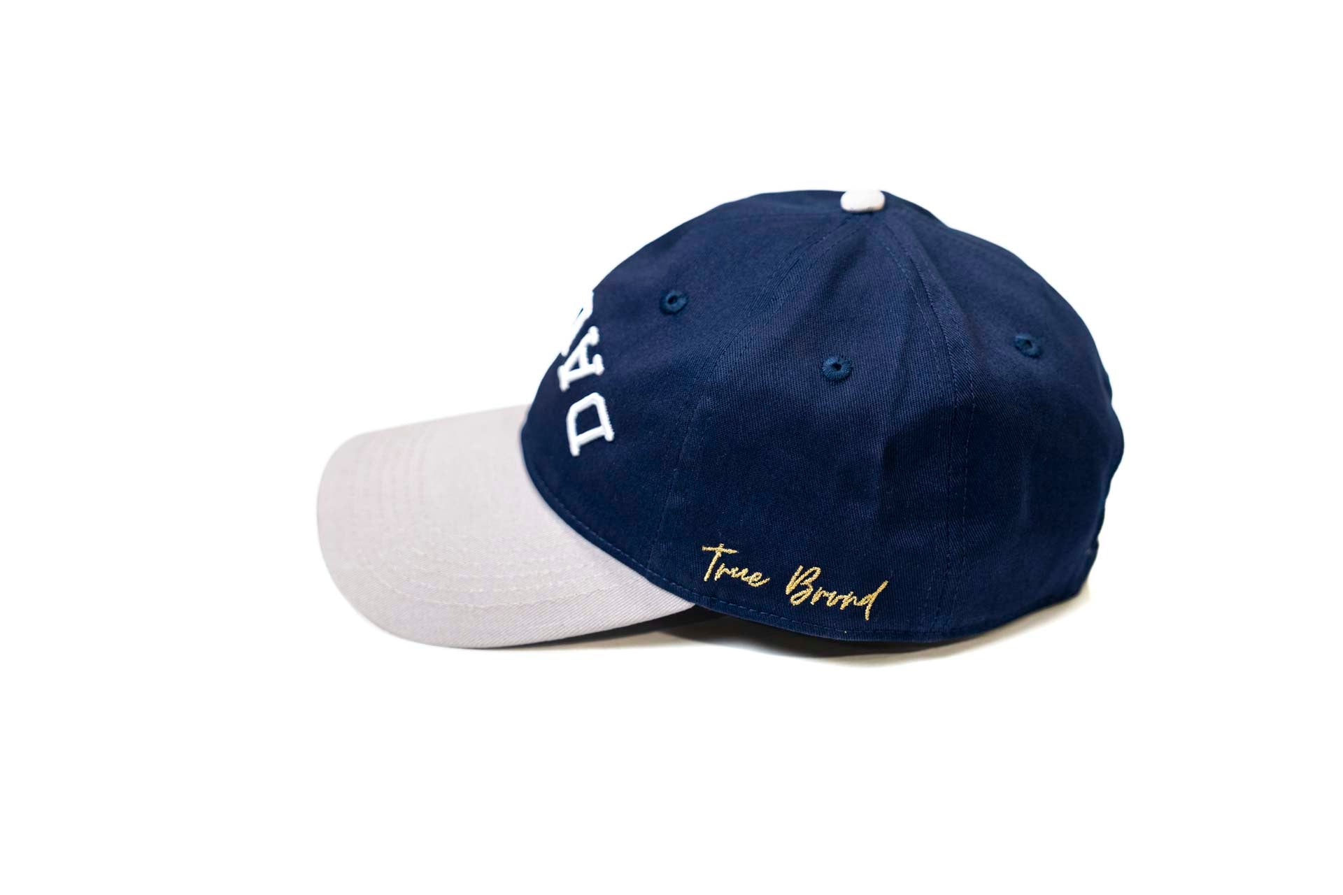 LC - Dad Hat - GRAY / NAVY