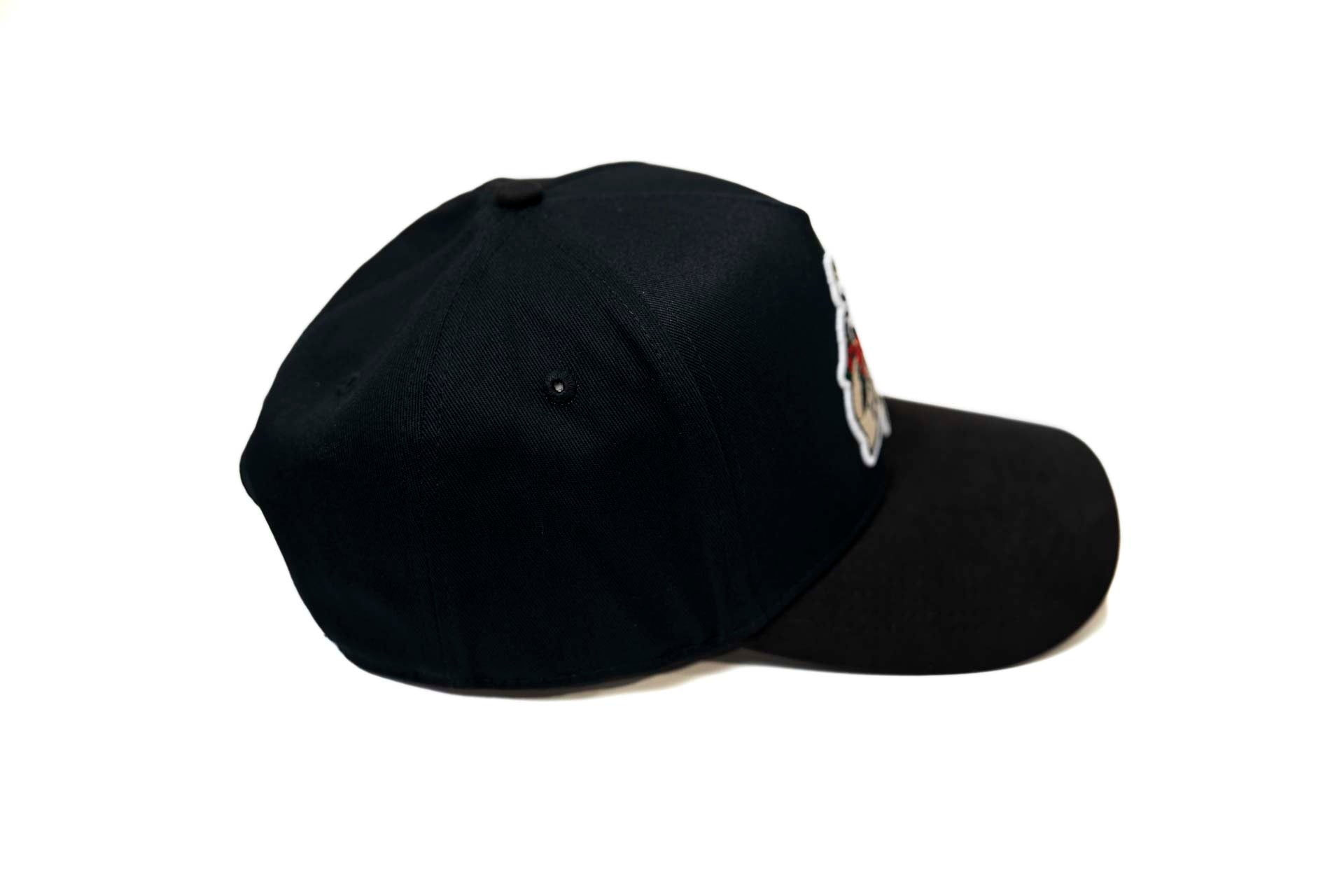 Pegasus "Lovers Lane" Snapback - BLACK
