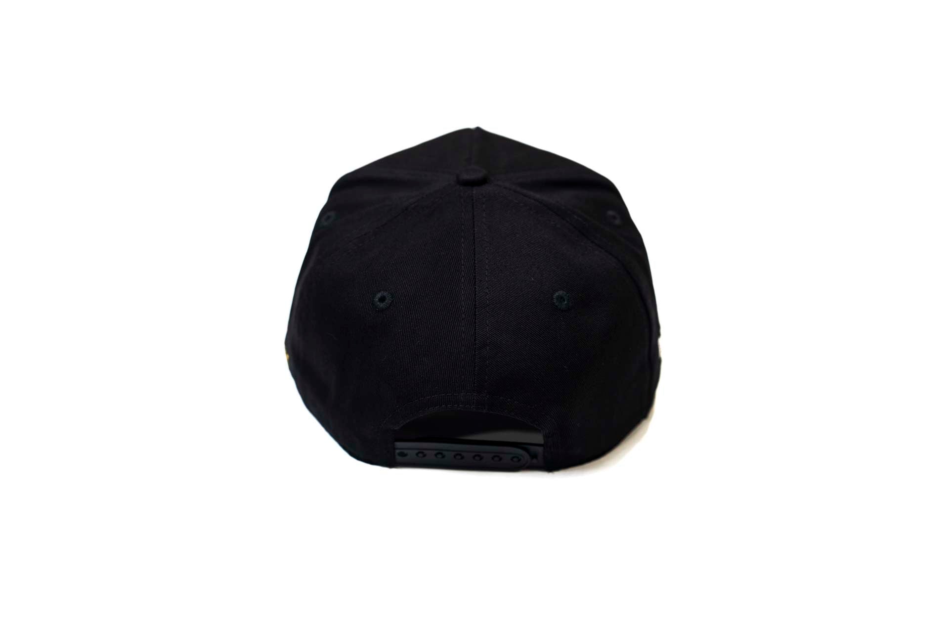 TBD X RT - USD SNAPBACK