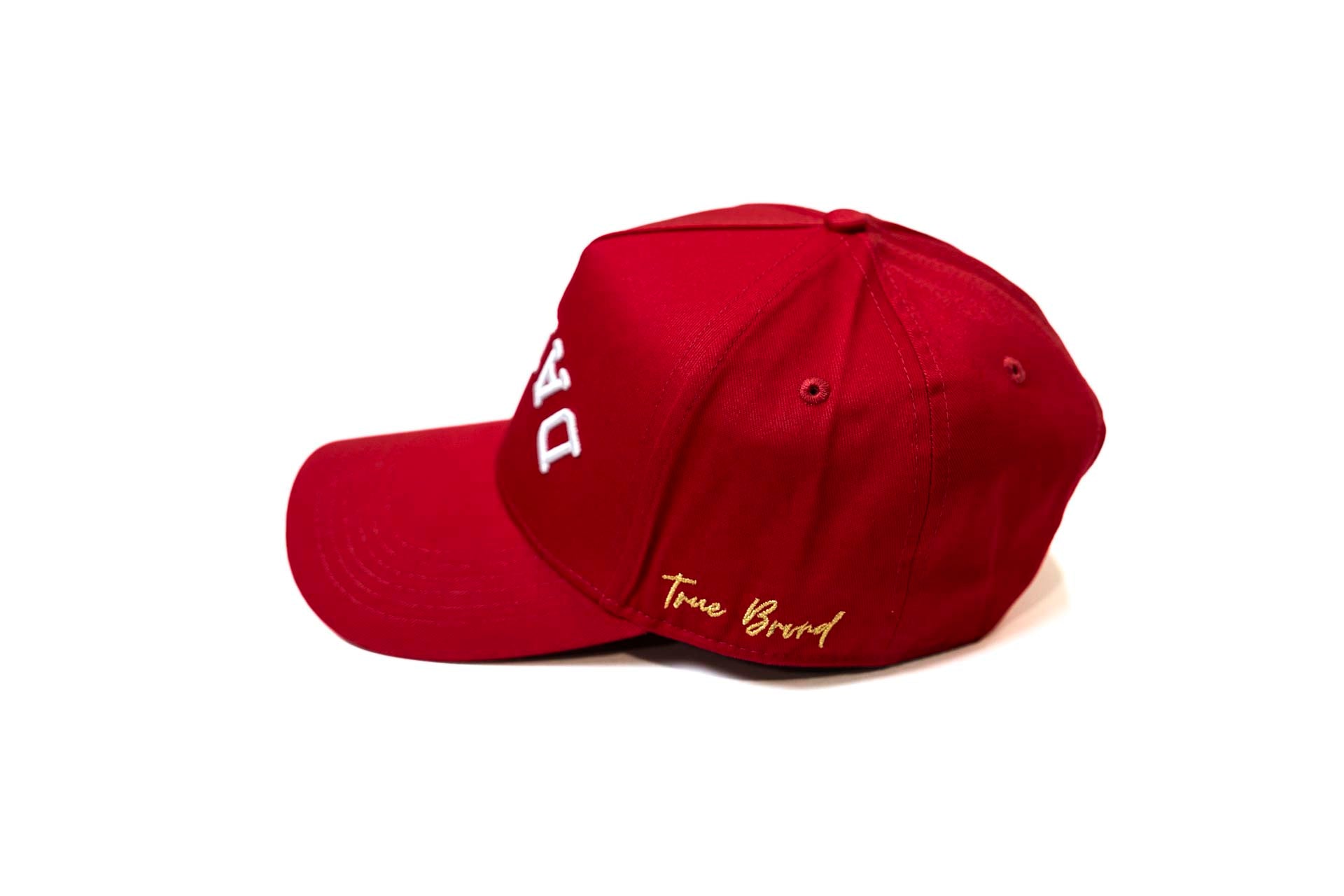 LC - Precurved Dallas snapback - Cardinal 2