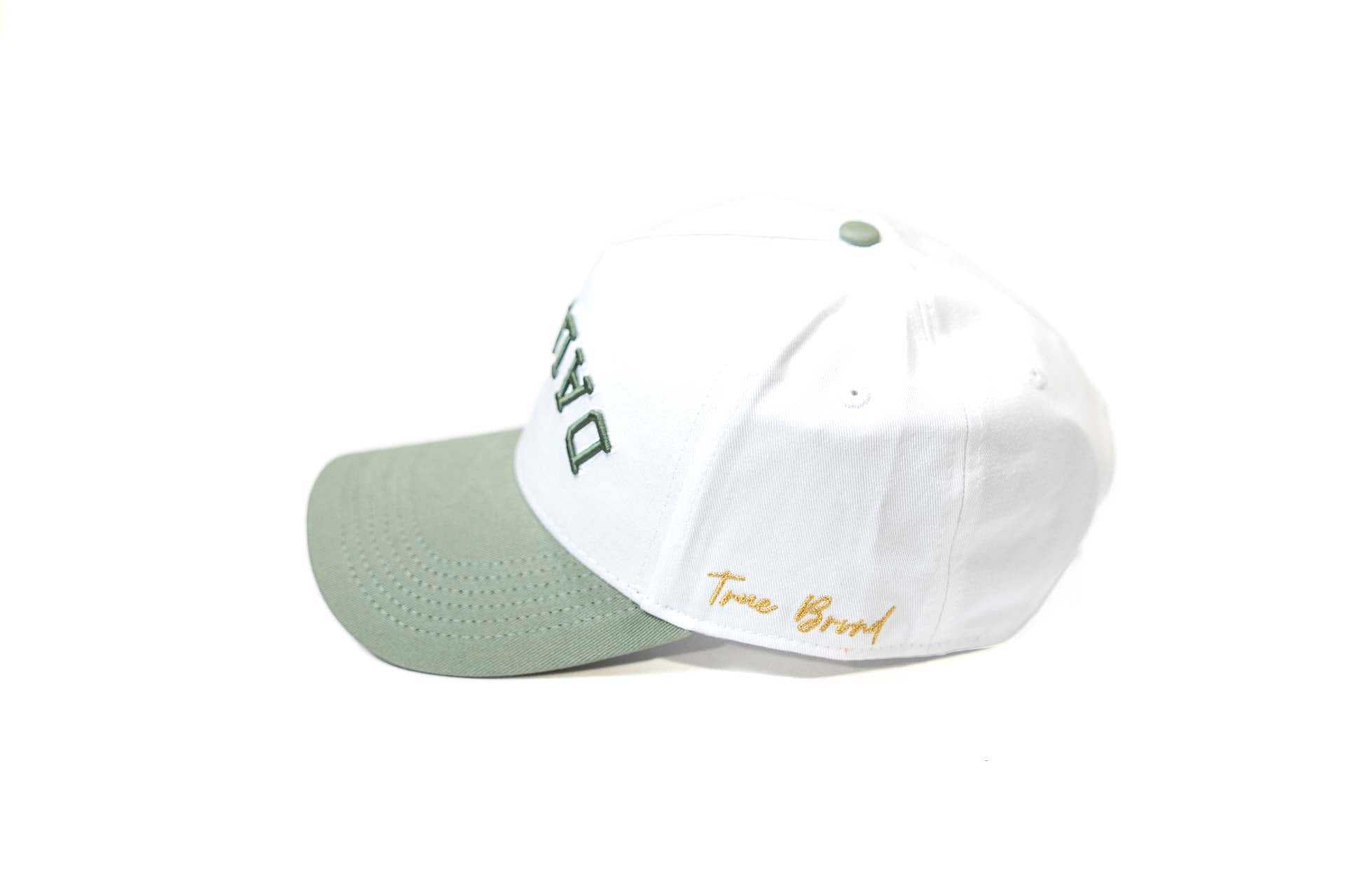 Precurved Dallas snapback - SAGE / WHITE